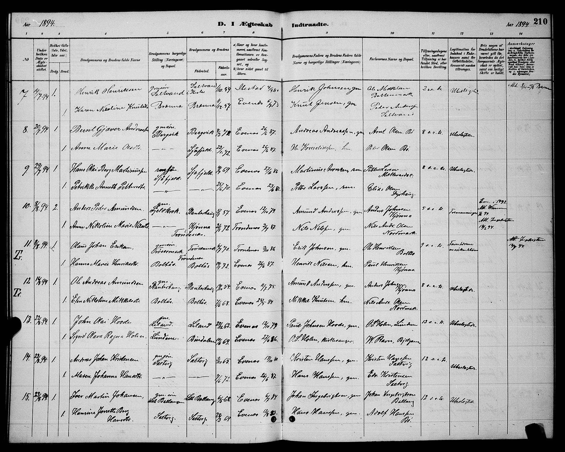 Ministerialprotokoller, klokkerbøker og fødselsregistre - Nordland, AV/SAT-A-1459/863/L0914: Parish register (copy) no. 863C04, 1886-1897, p. 210