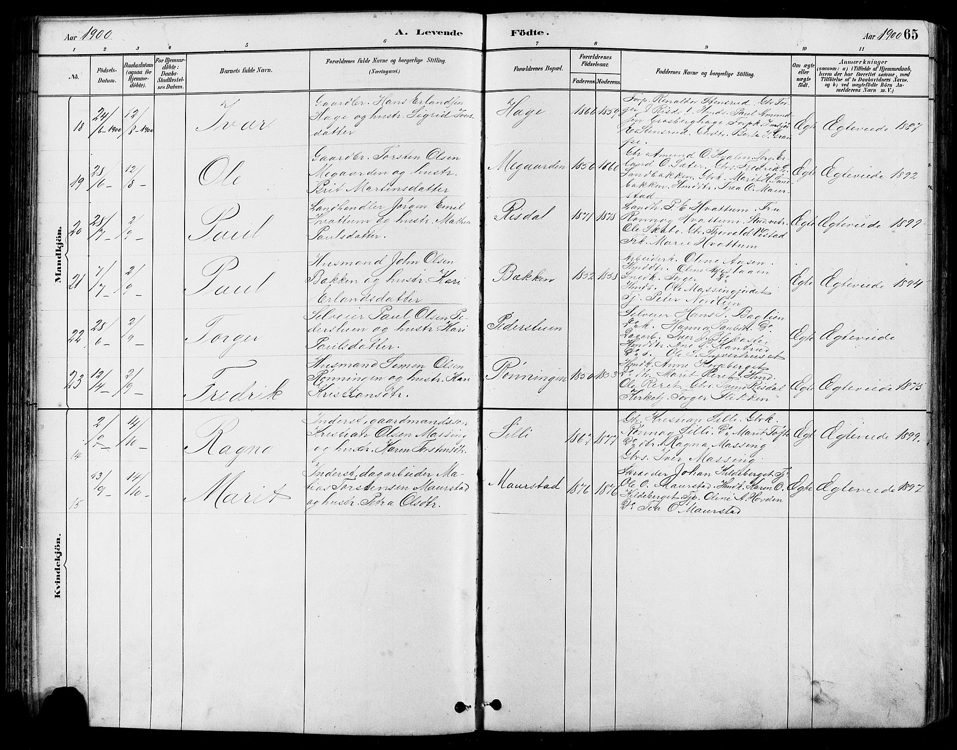 Nord-Fron prestekontor, AV/SAH-PREST-080/H/Ha/Hab/L0005: Parish register (copy) no. 5, 1884-1914, p. 65