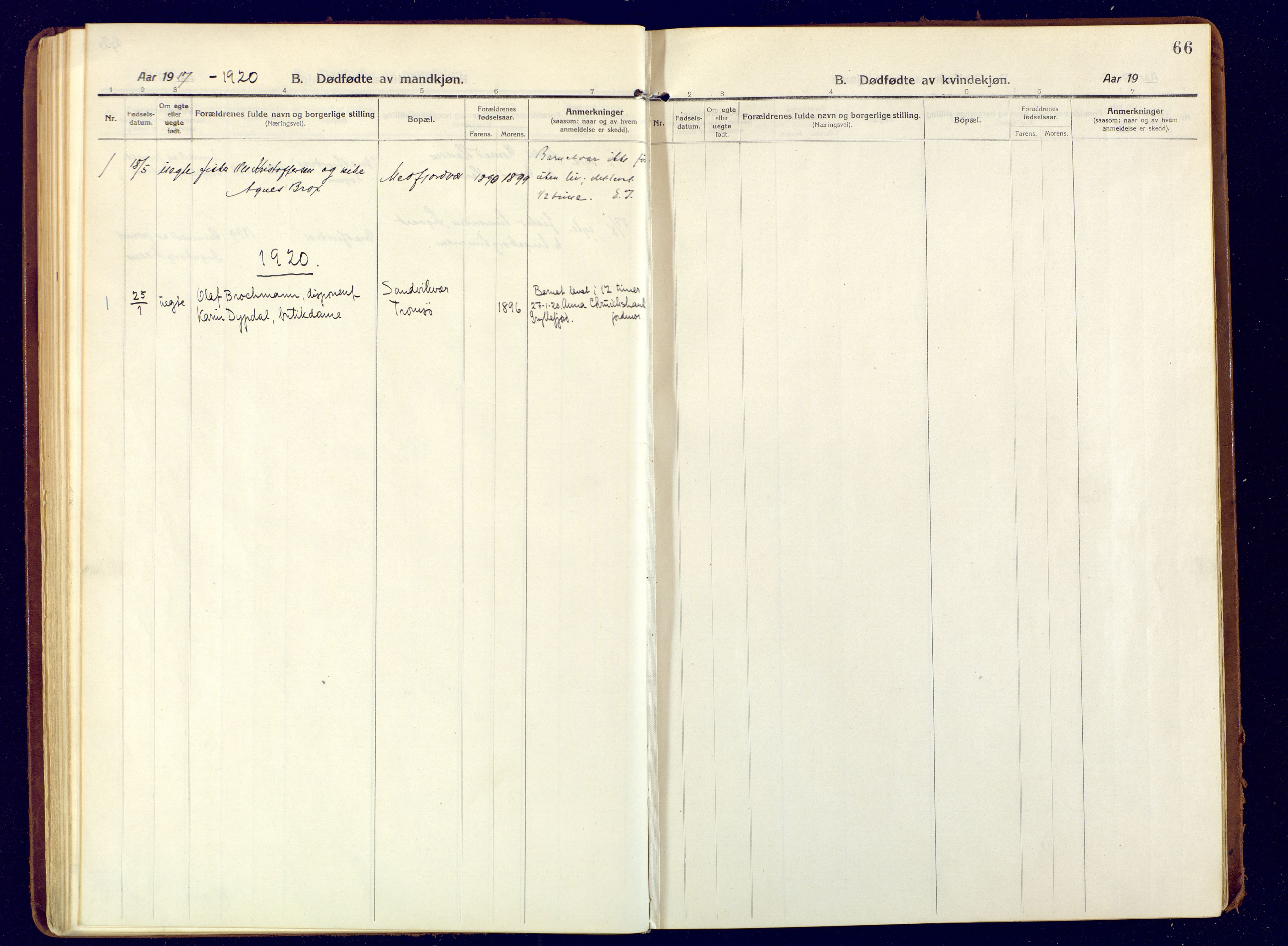 Berg sokneprestkontor, AV/SATØ-S-1318/G/Ga/Gaa/L0009kirke: Parish register (official) no. 9, 1916-1928, p. 66