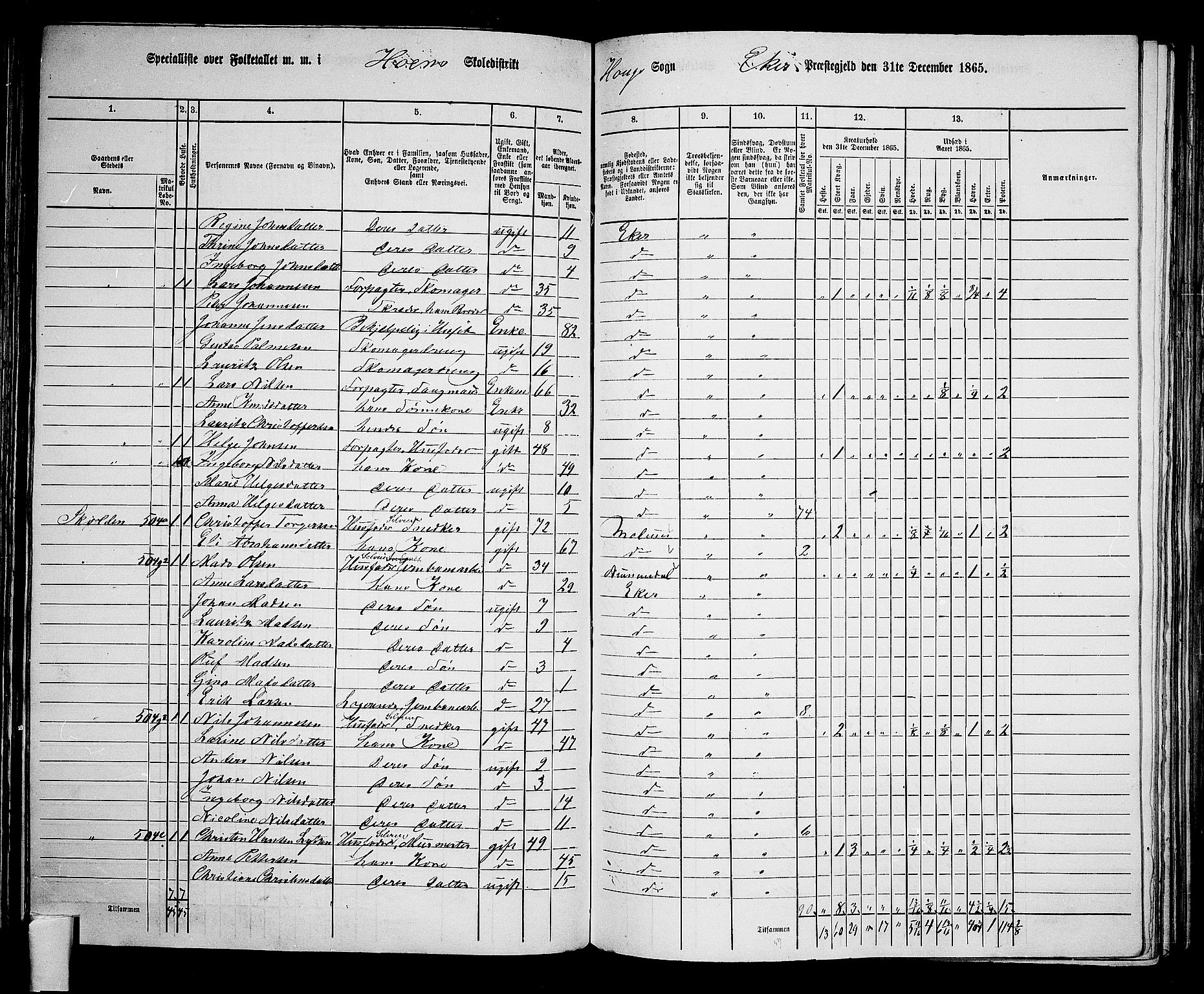 RA, 1865 census for Eiker, 1865, p. 131