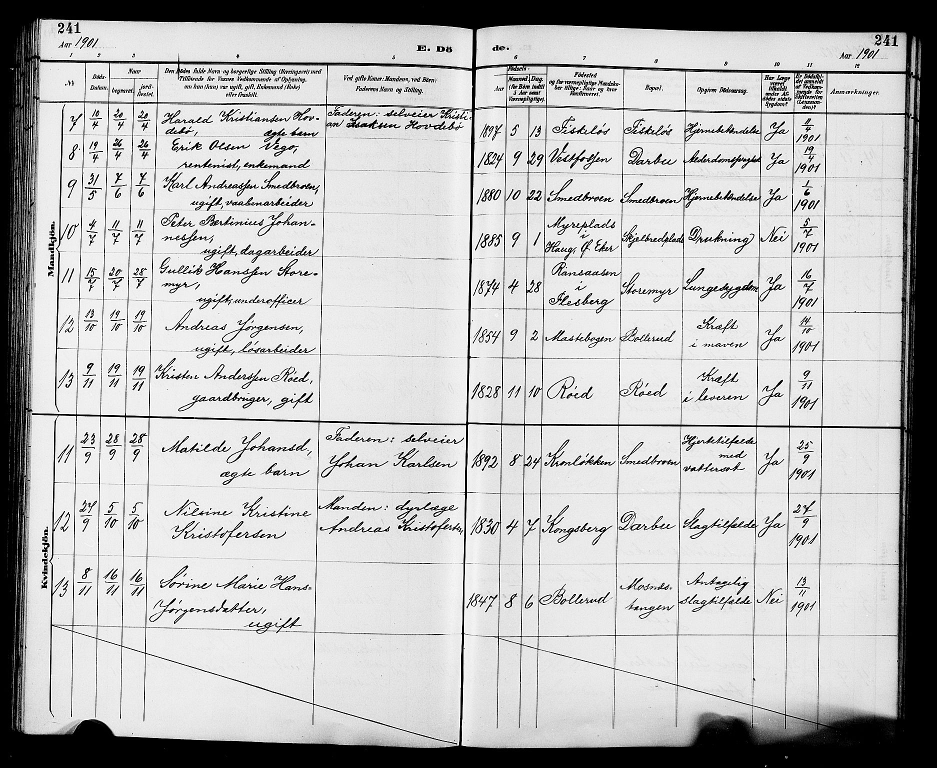 Fiskum kirkebøker, AV/SAKO-A-15/G/Ga/L0005: Parish register (copy) no. 5, 1887-1912, p. 241