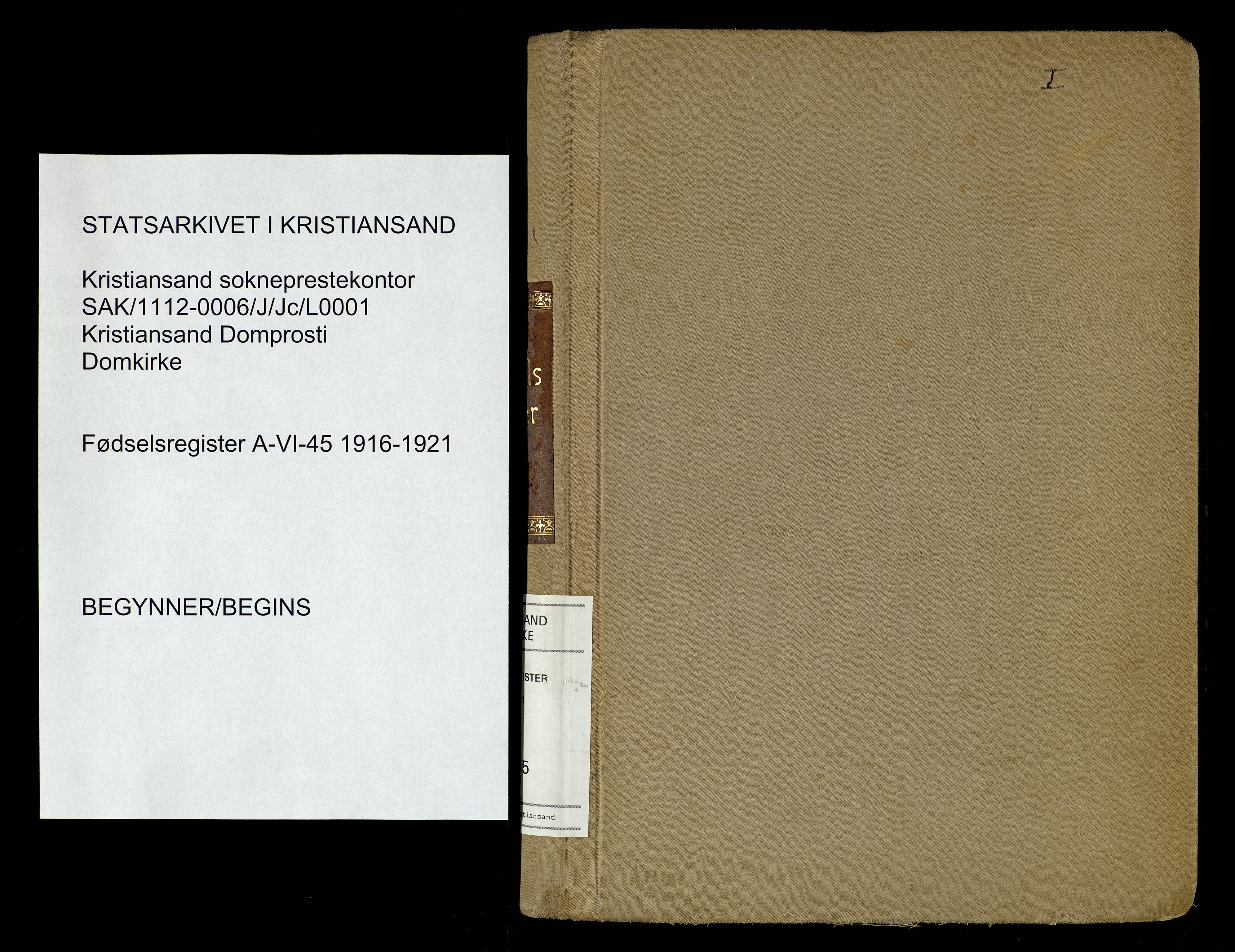 Kristiansand domprosti, SAK/1112-0006/J/Jc/L0001: Birth register no. A-VI-45, 1916-1921