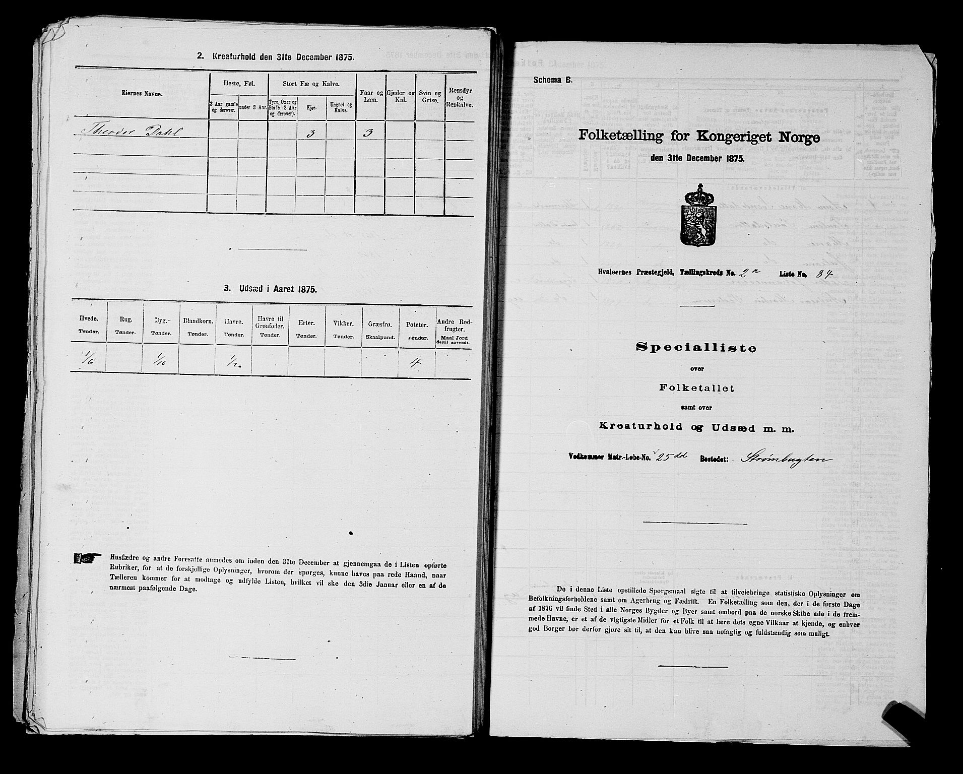 RA, 1875 census for 0111P Hvaler, 1875, p. 430