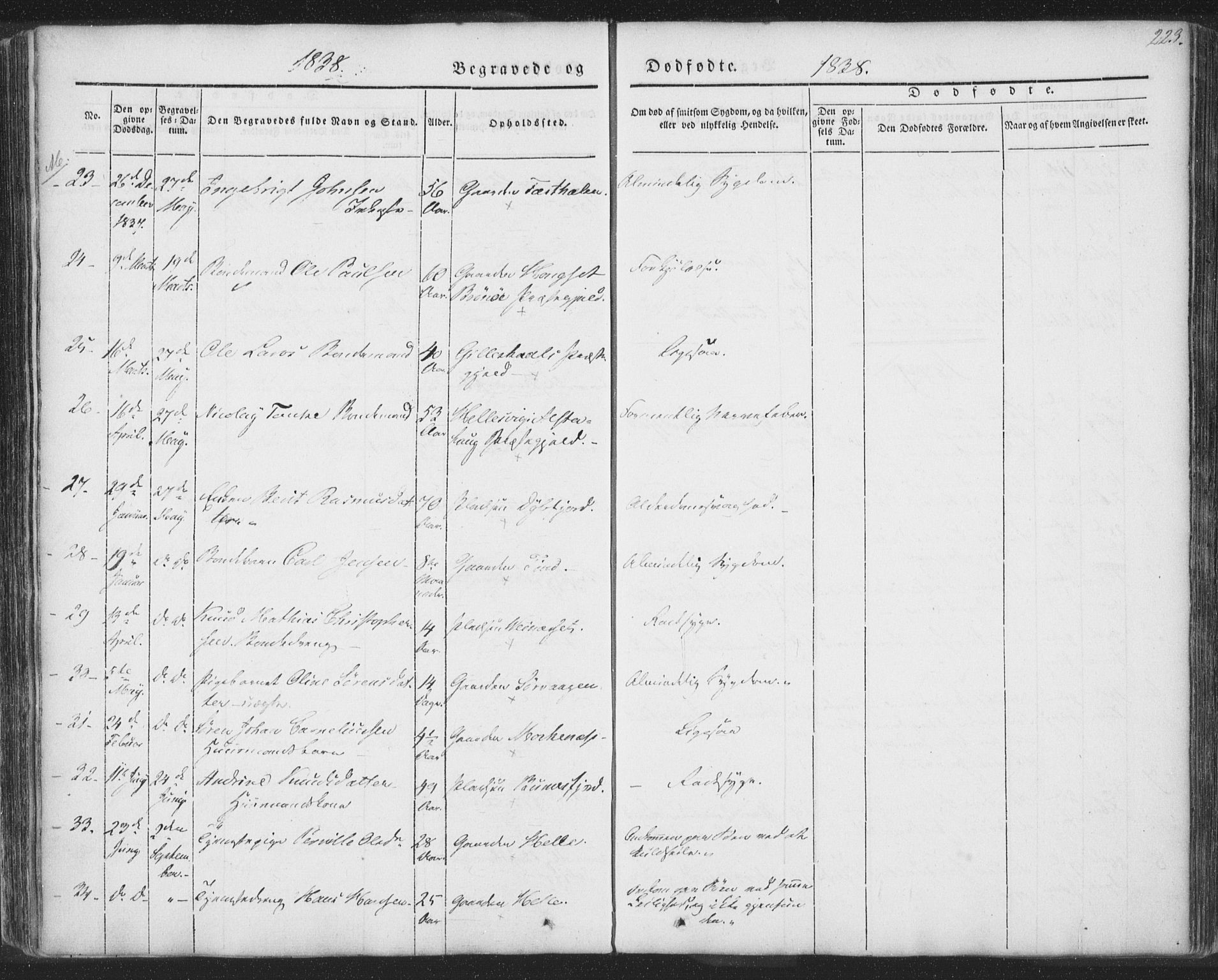 Ministerialprotokoller, klokkerbøker og fødselsregistre - Nordland, SAT/A-1459/885/L1202: Parish register (official) no. 885A03, 1838-1859, p. 223