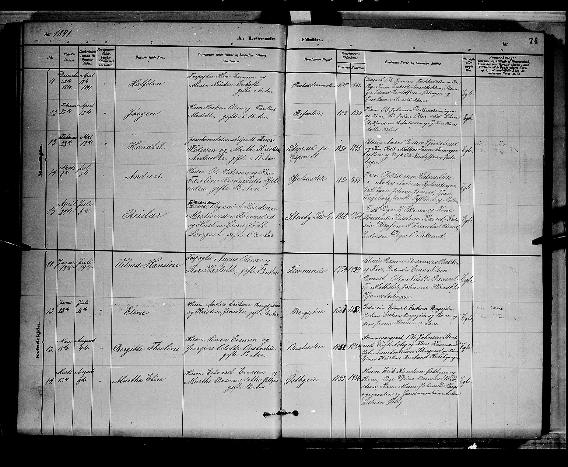 Stange prestekontor, AV/SAH-PREST-002/L/L0008: Parish register (copy) no. 8, 1882-1895, p. 74