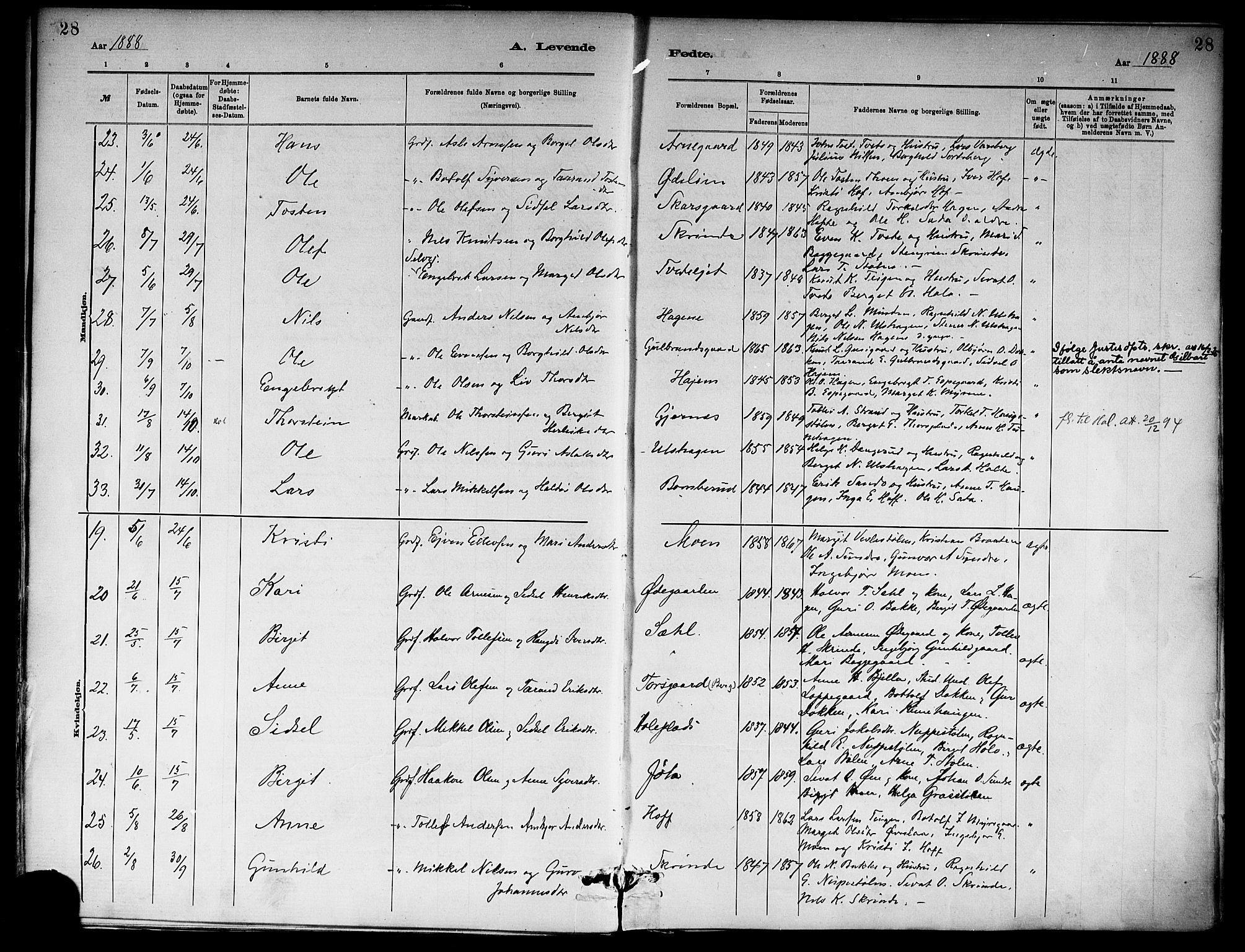 Ål kirkebøker, AV/SAKO-A-249/F/Fa/L0008: Parish register (official) no. I 8, 1882-1896, p. 28