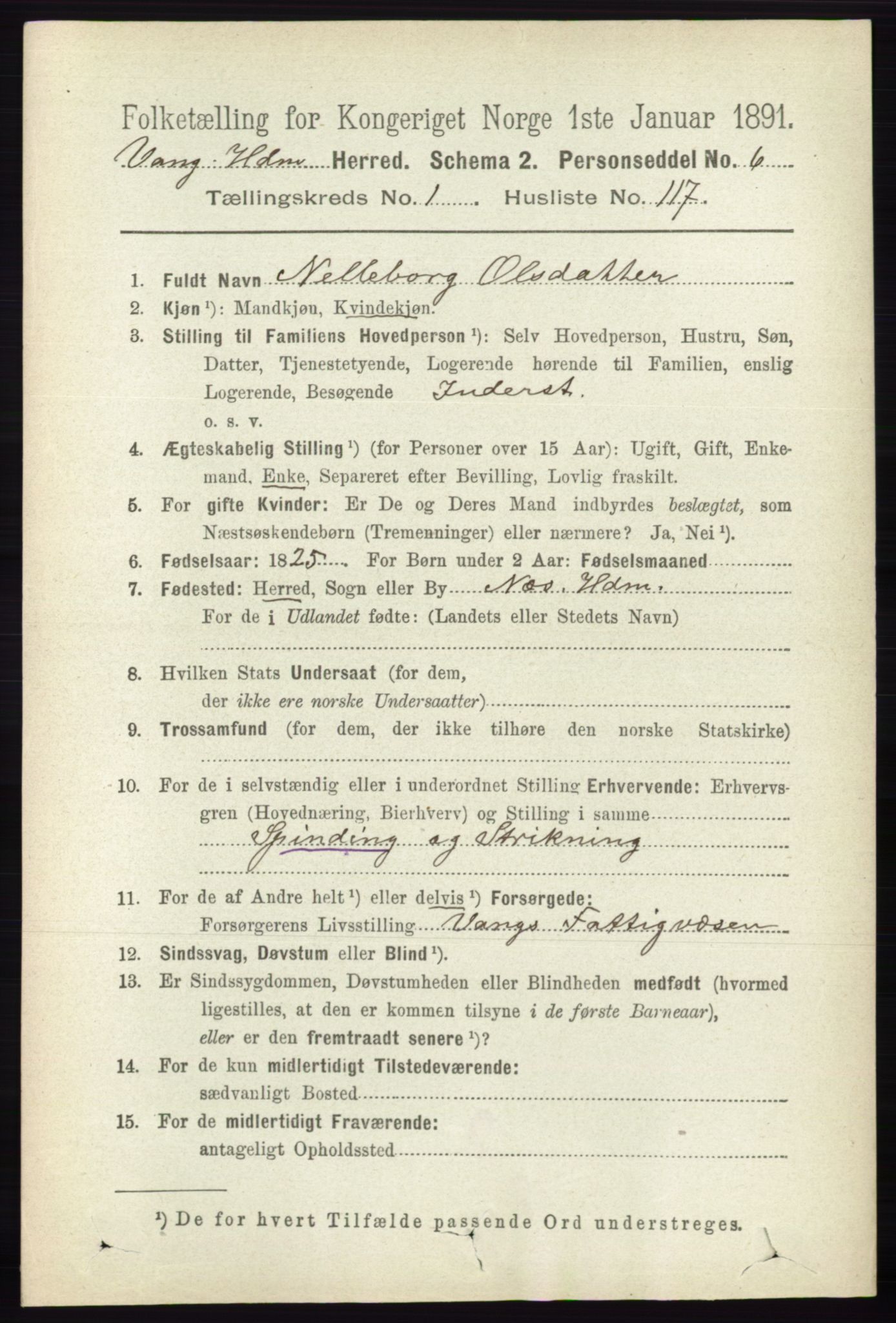 RA, 1891 census for 0414 Vang, 1891, p. 925