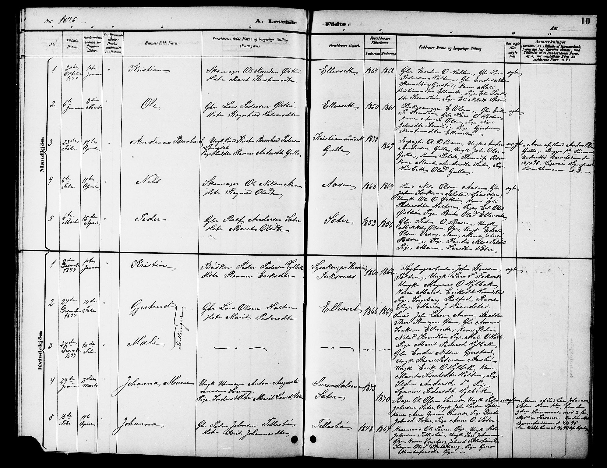 Ministerialprotokoller, klokkerbøker og fødselsregistre - Møre og Romsdal, AV/SAT-A-1454/596/L1058: Parish register (copy) no. 596C01, 1891-1907, p. 10