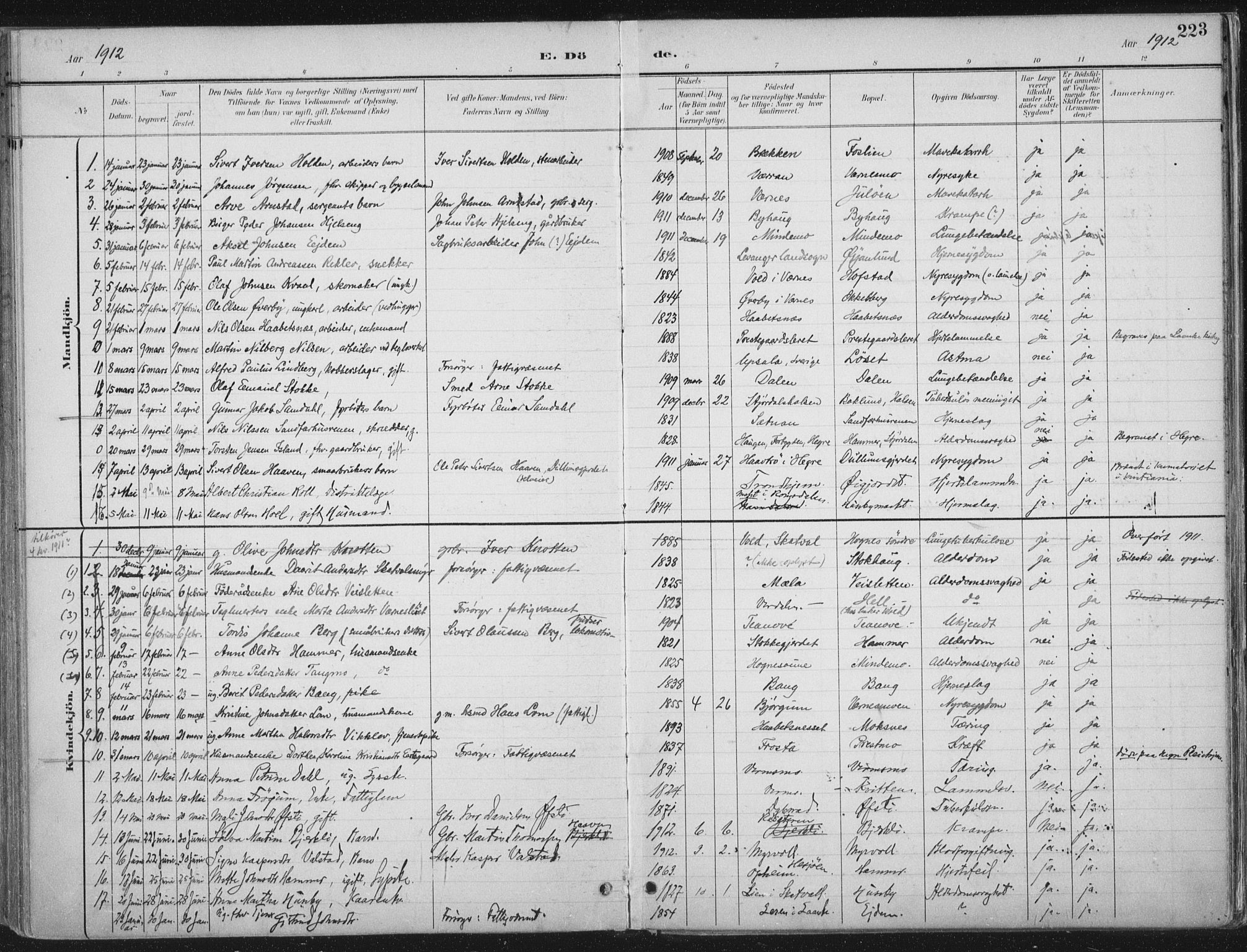 Ministerialprotokoller, klokkerbøker og fødselsregistre - Nord-Trøndelag, SAT/A-1458/709/L0082: Parish register (official) no. 709A22, 1896-1916, p. 223