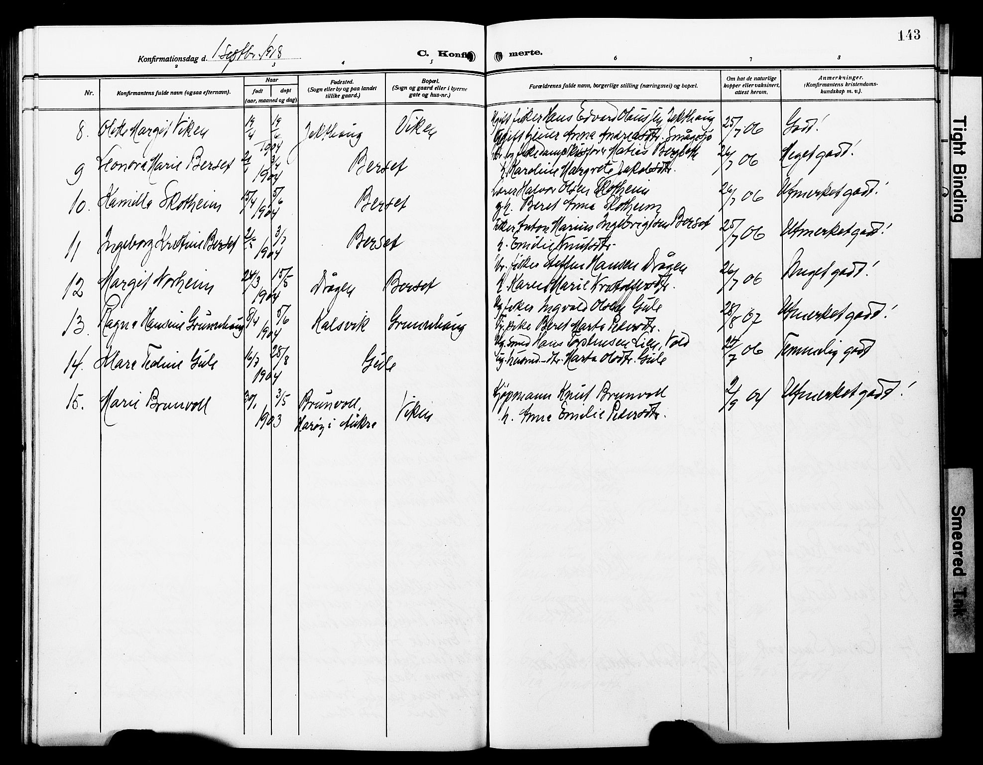 Ministerialprotokoller, klokkerbøker og fødselsregistre - Møre og Romsdal, SAT/A-1454/566/L0774: Parish register (copy) no. 566C03, 1910-1929, p. 143