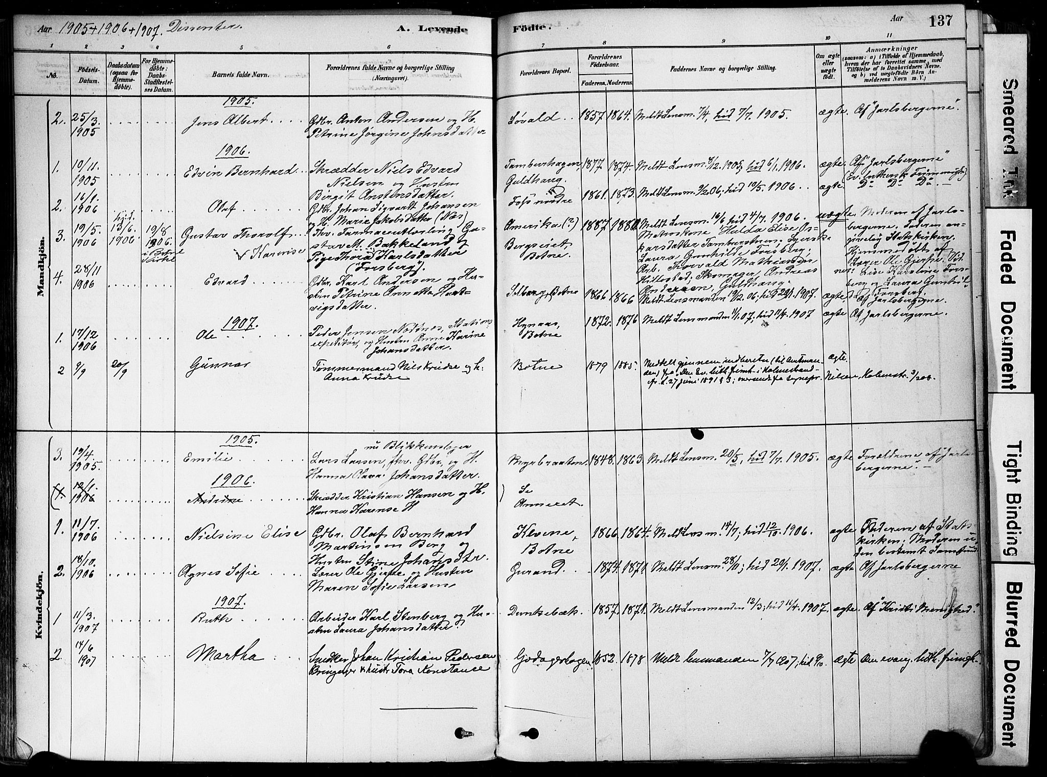 Botne kirkebøker, SAKO/A-340/F/Fa/L0007: Parish register (official) no. I 7, 1878-1910, p. 137