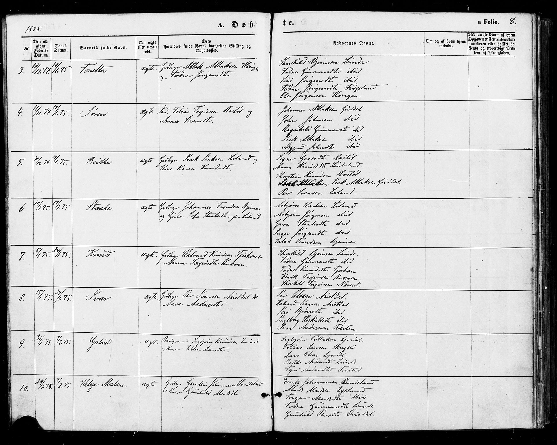 Sirdal sokneprestkontor, AV/SAK-1111-0036/F/Fa/Fab/L0003: Parish register (official) no. A 3, 1874-1886, p. 8