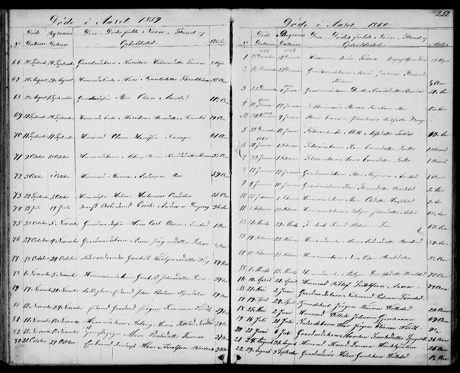 Drangedal kirkebøker, SAKO/A-258/G/Gb/L0001: Parish register (copy) no. II 1, 1856-1894, p. 252