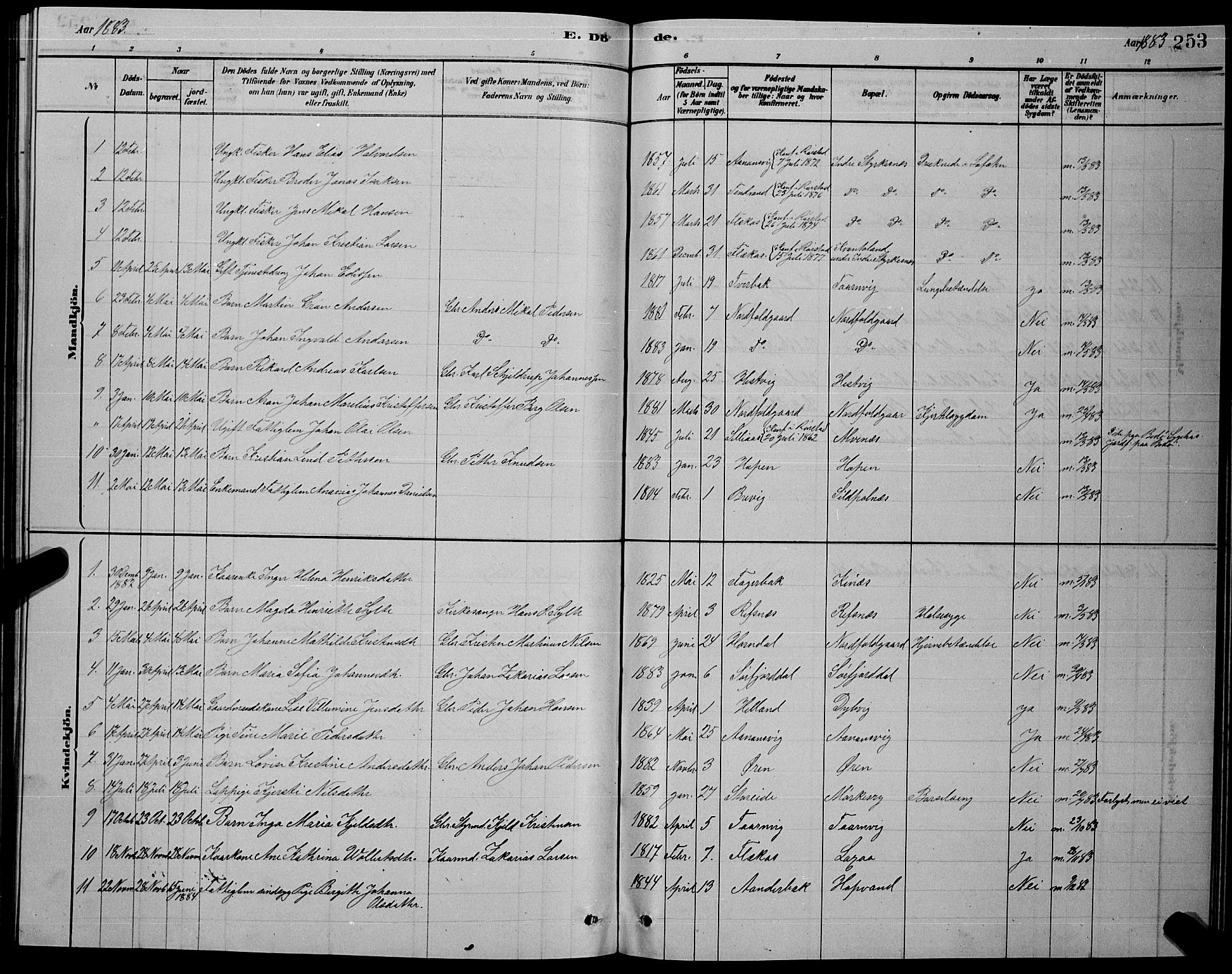 Ministerialprotokoller, klokkerbøker og fødselsregistre - Nordland, AV/SAT-A-1459/853/L0776: Parish register (copy) no. 853C04, 1878-1889, p. 253