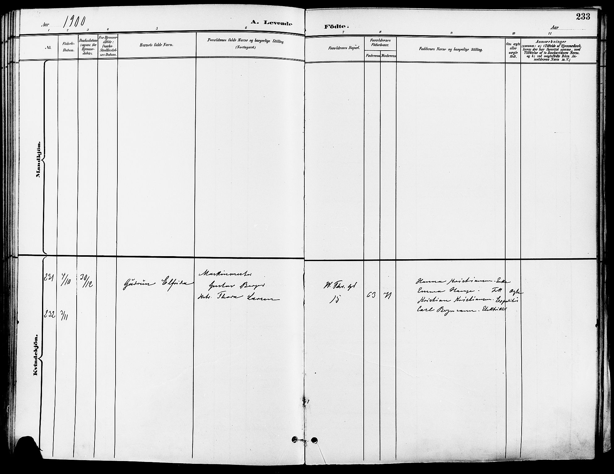 Gamle Aker prestekontor Kirkebøker, AV/SAO-A-10617a/F/L0011: Parish register (official) no. 11, 1896-1901, p. 233