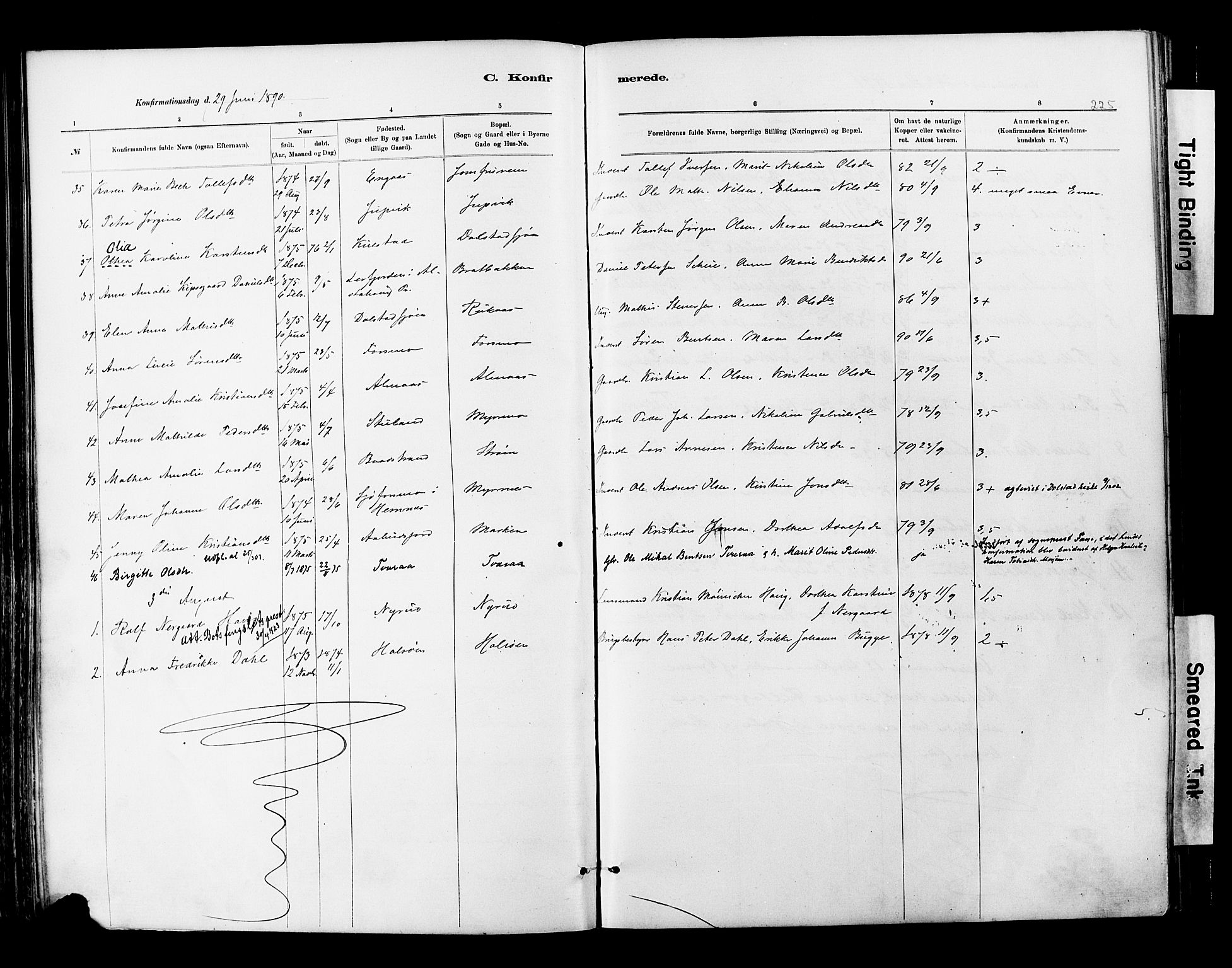 Ministerialprotokoller, klokkerbøker og fødselsregistre - Nordland, SAT/A-1459/820/L0295: Parish register (official) no. 820A16, 1880-1896, p. 225