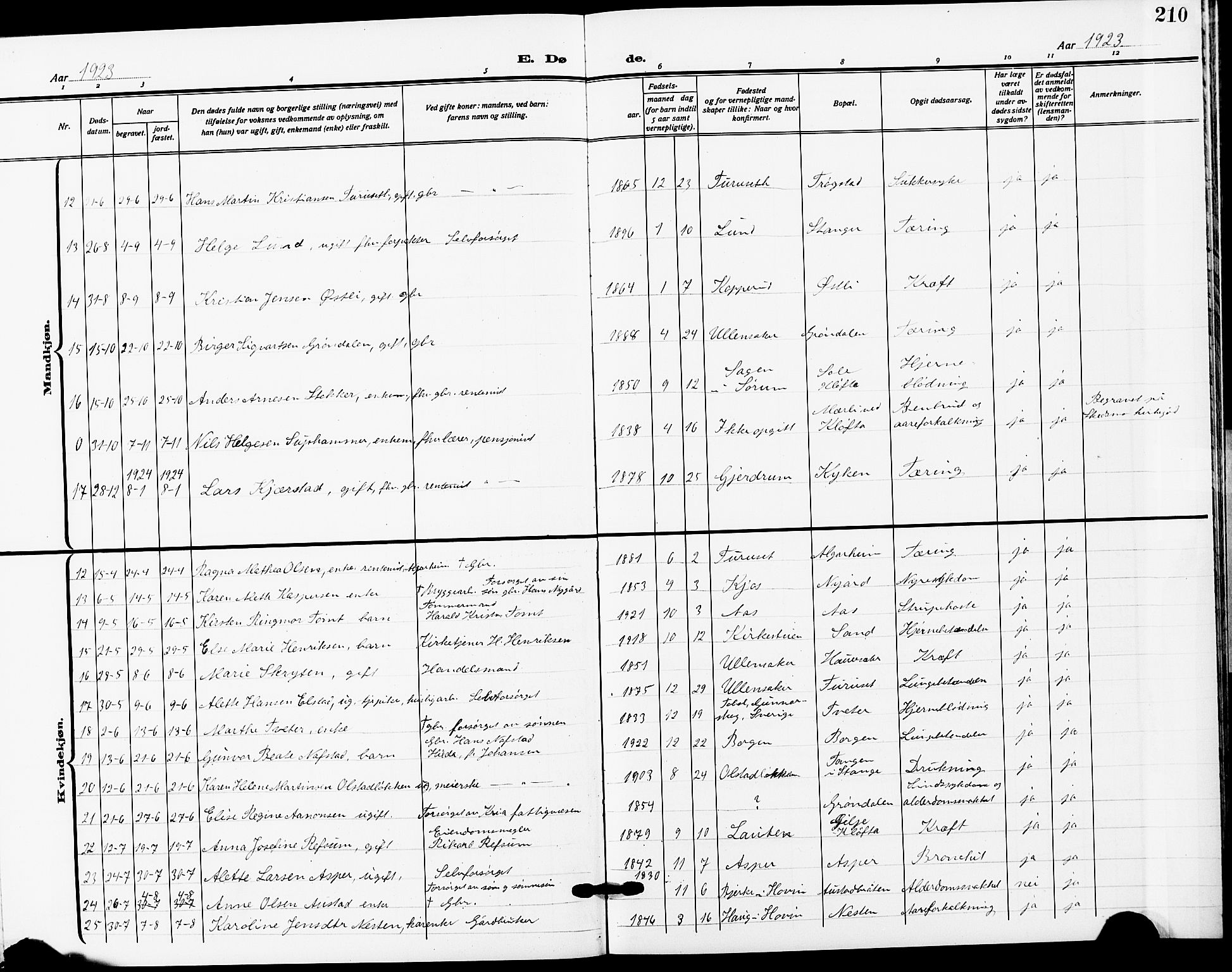 Ullensaker prestekontor Kirkebøker, AV/SAO-A-10236a/G/Ga/L0003: Parish register (copy) no. I 3, 1914-1929, p. 210