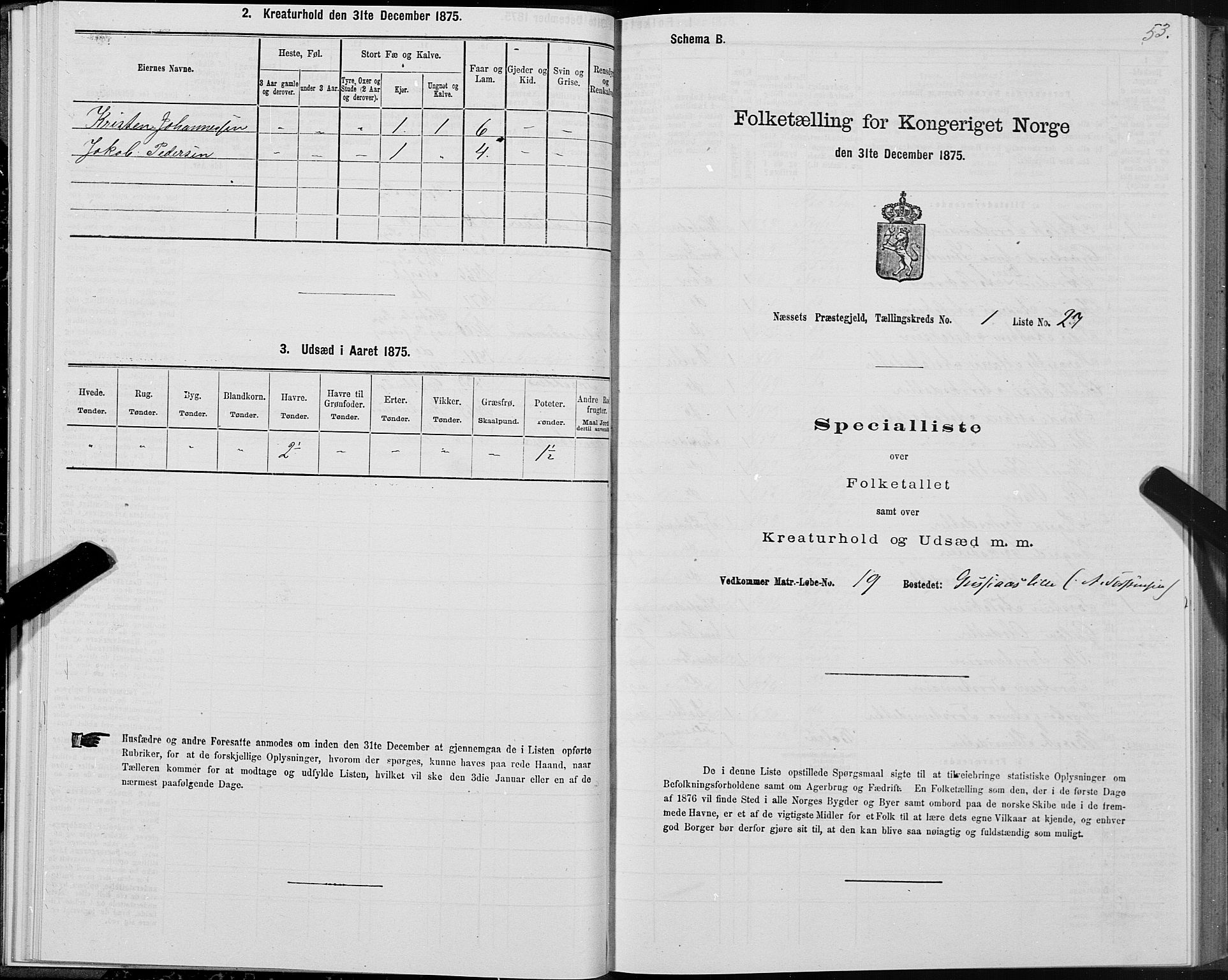 SAT, 1875 census for 1543P Nesset, 1875, p. 1053