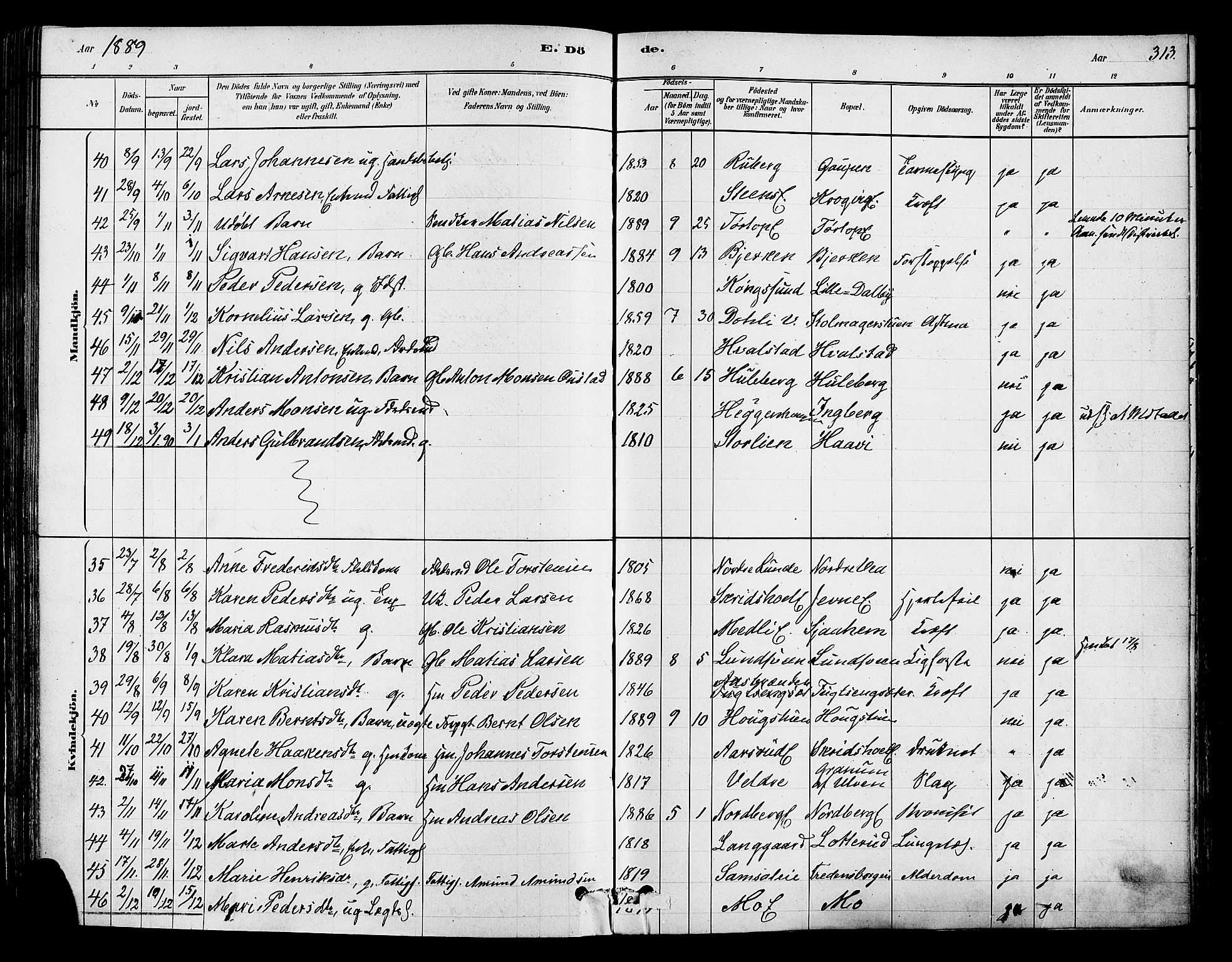 Ringsaker prestekontor, AV/SAH-PREST-014/K/Ka/L0012: Parish register (official) no. 12, 1879-1890, p. 313