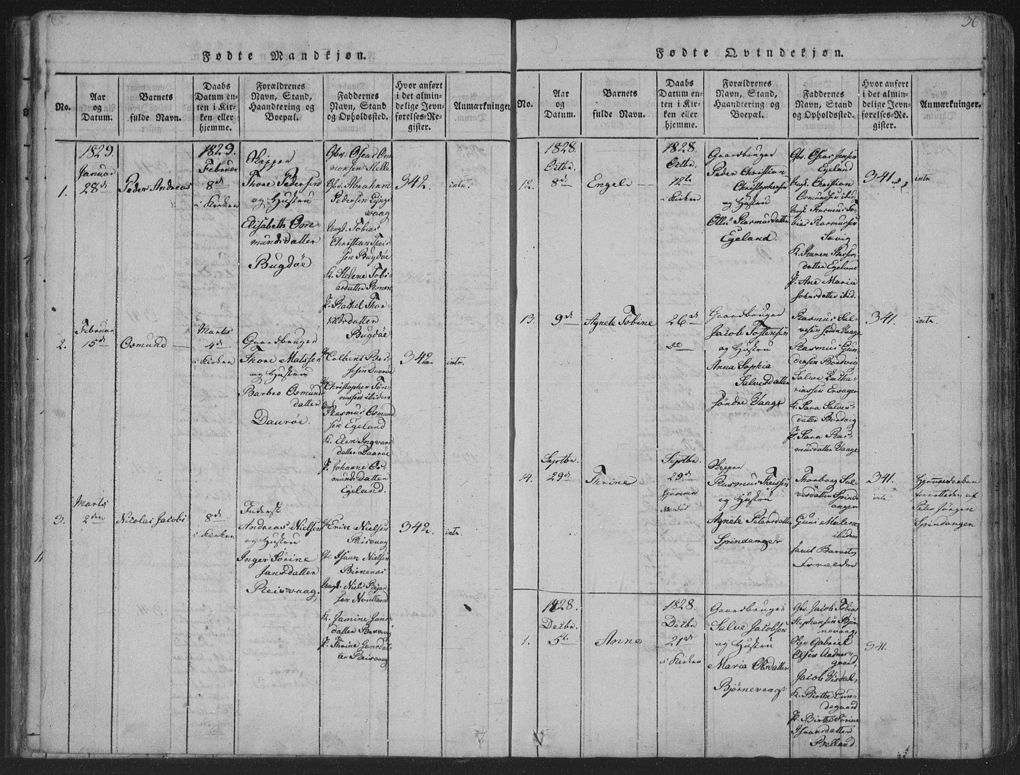 Herad sokneprestkontor, SAK/1111-0018/F/Fa/Fab/L0002: Parish register (official) no. A 2, 1816-1844, p. 36
