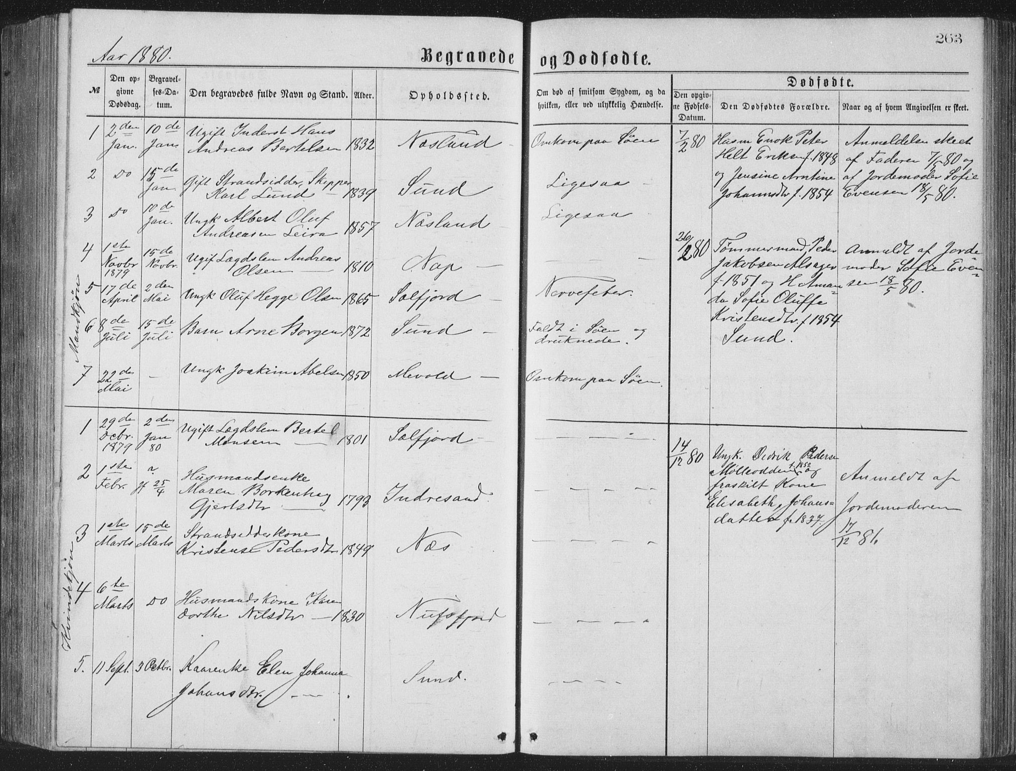 Ministerialprotokoller, klokkerbøker og fødselsregistre - Nordland, AV/SAT-A-1459/885/L1213: Parish register (copy) no. 885C02, 1874-1892, p. 263