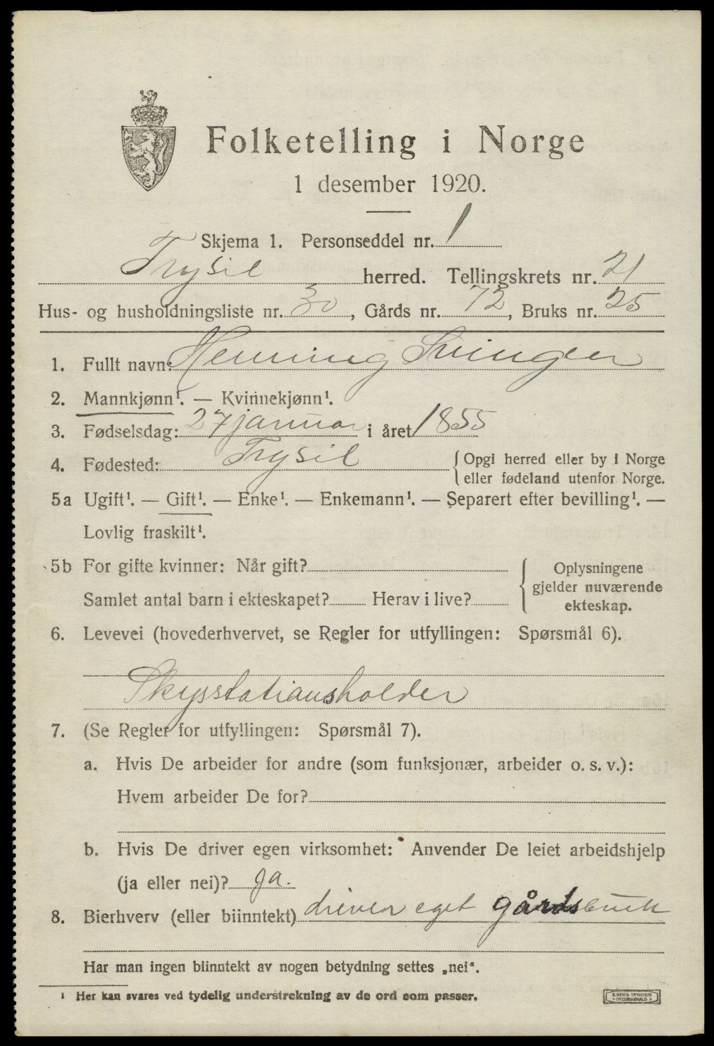 SAH, 1920 census for Trysil, 1920, p. 14119