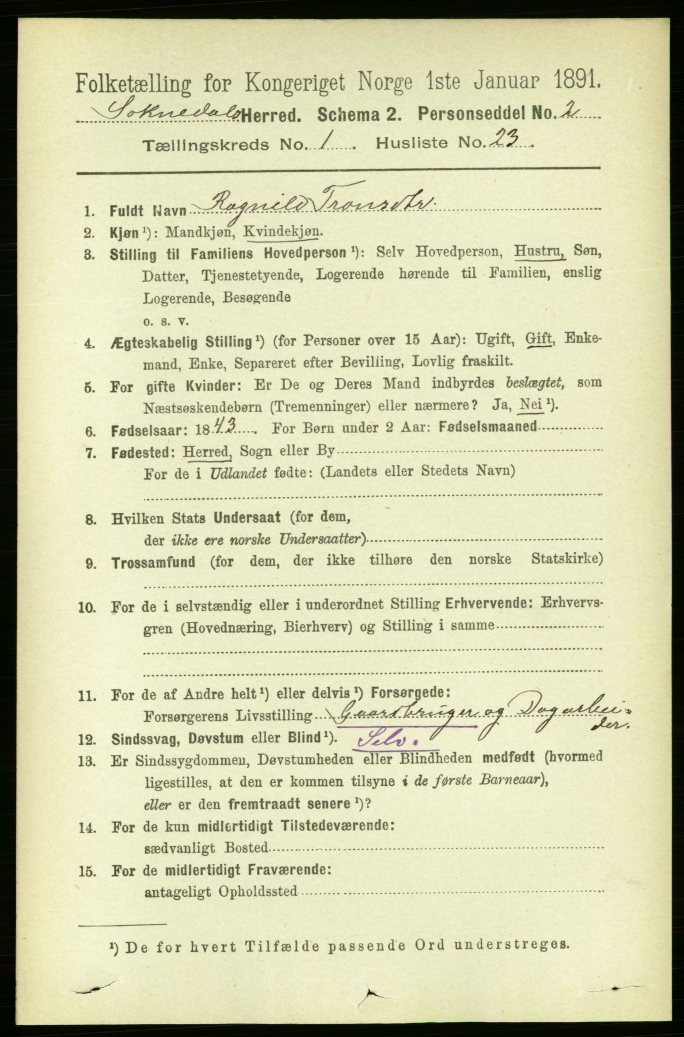 RA, 1891 census for 1649 Soknedal, 1891, p. 216