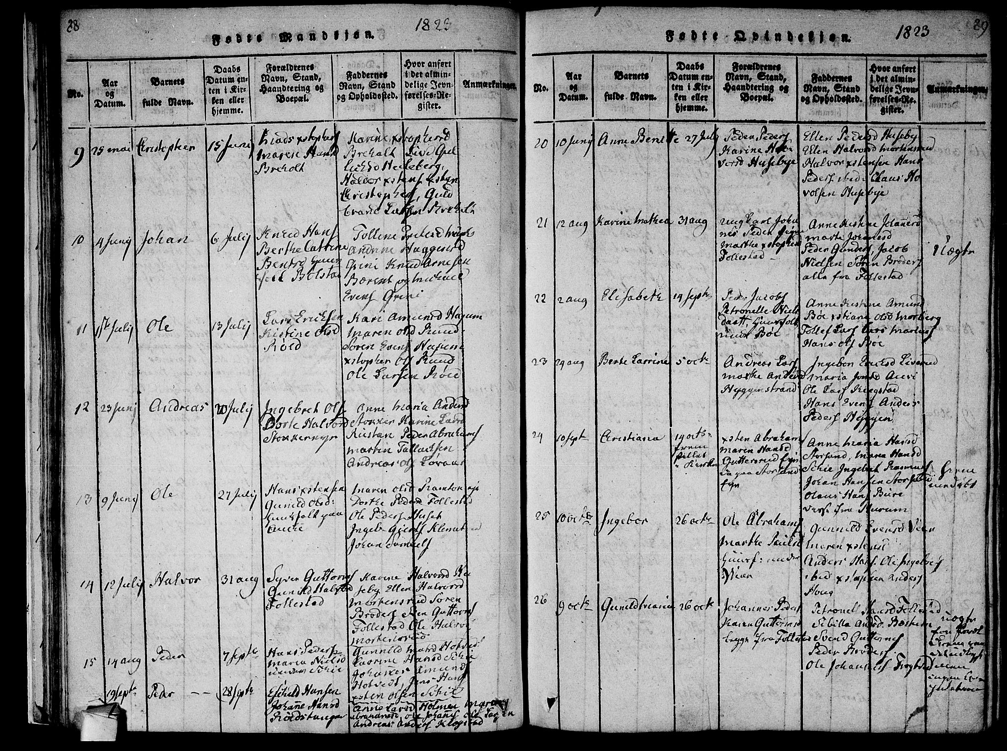 Røyken kirkebøker, AV/SAKO-A-241/F/Fa/L0004: Parish register (official) no. 4, 1814-1832, p. 88-89