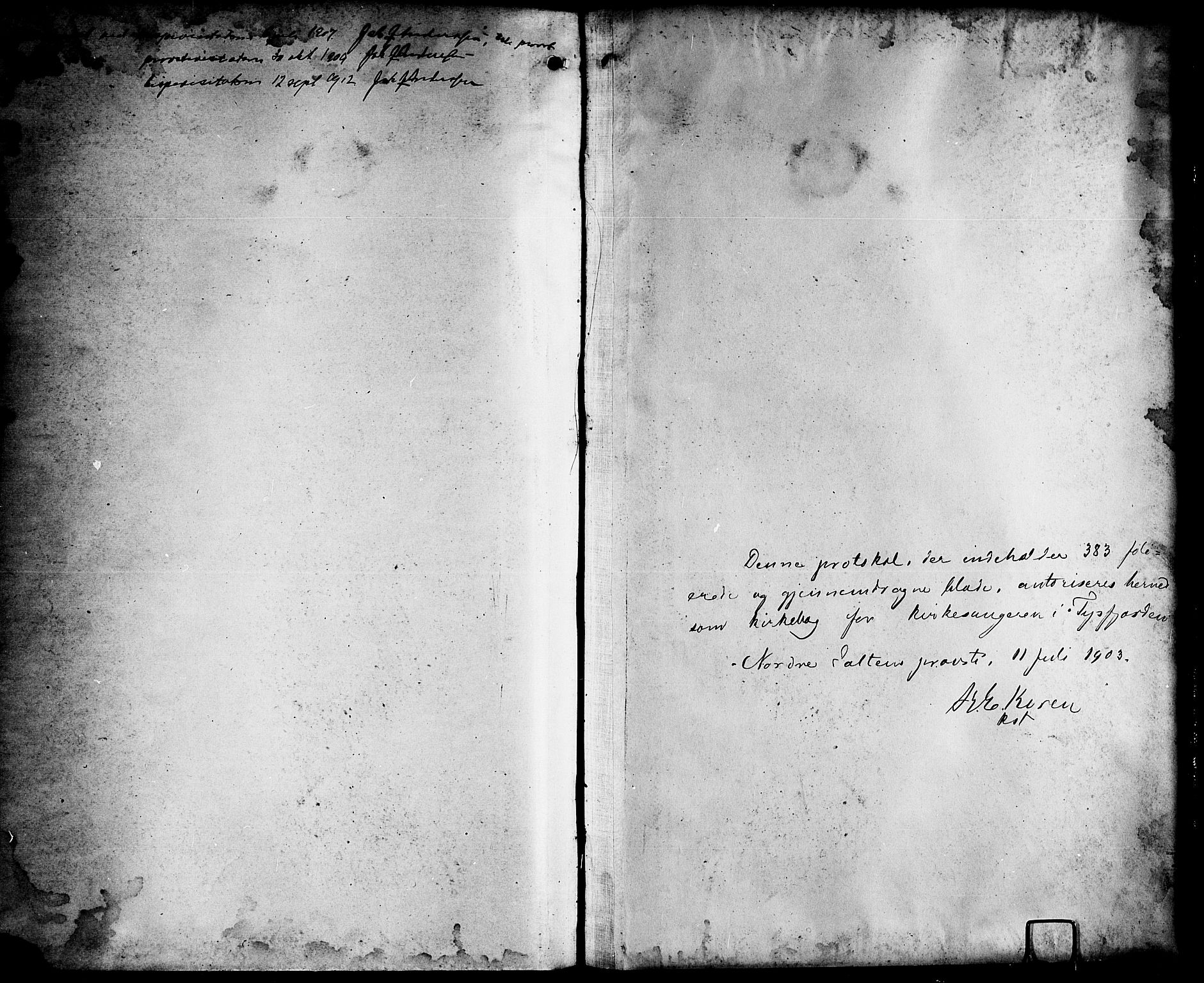 Ministerialprotokoller, klokkerbøker og fødselsregistre - Nordland, AV/SAT-A-1459/861/L0877: Parish register (copy) no. 861C03, 1903-1919