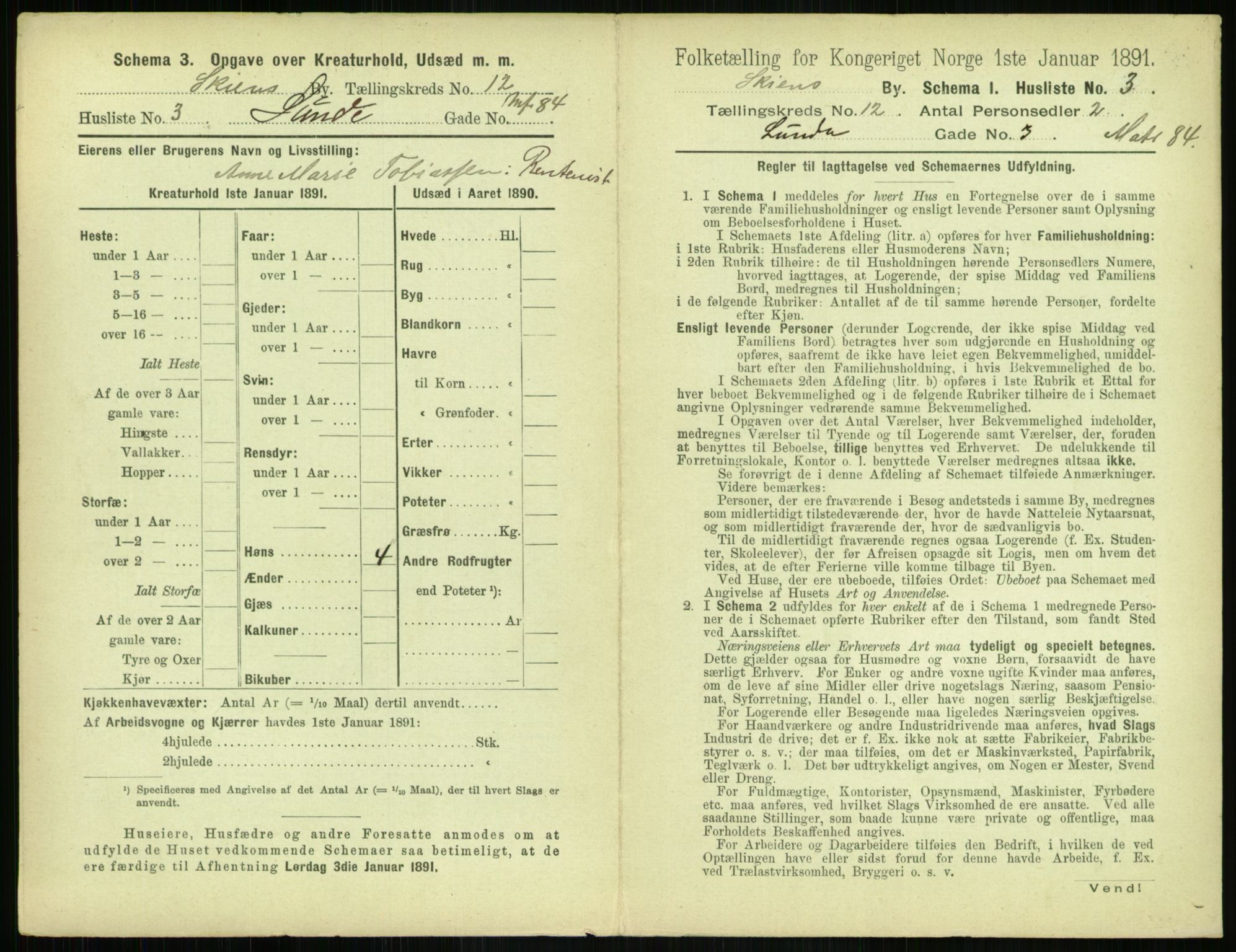 RA, 1891 census for 0806 Skien, 1891, p. 474