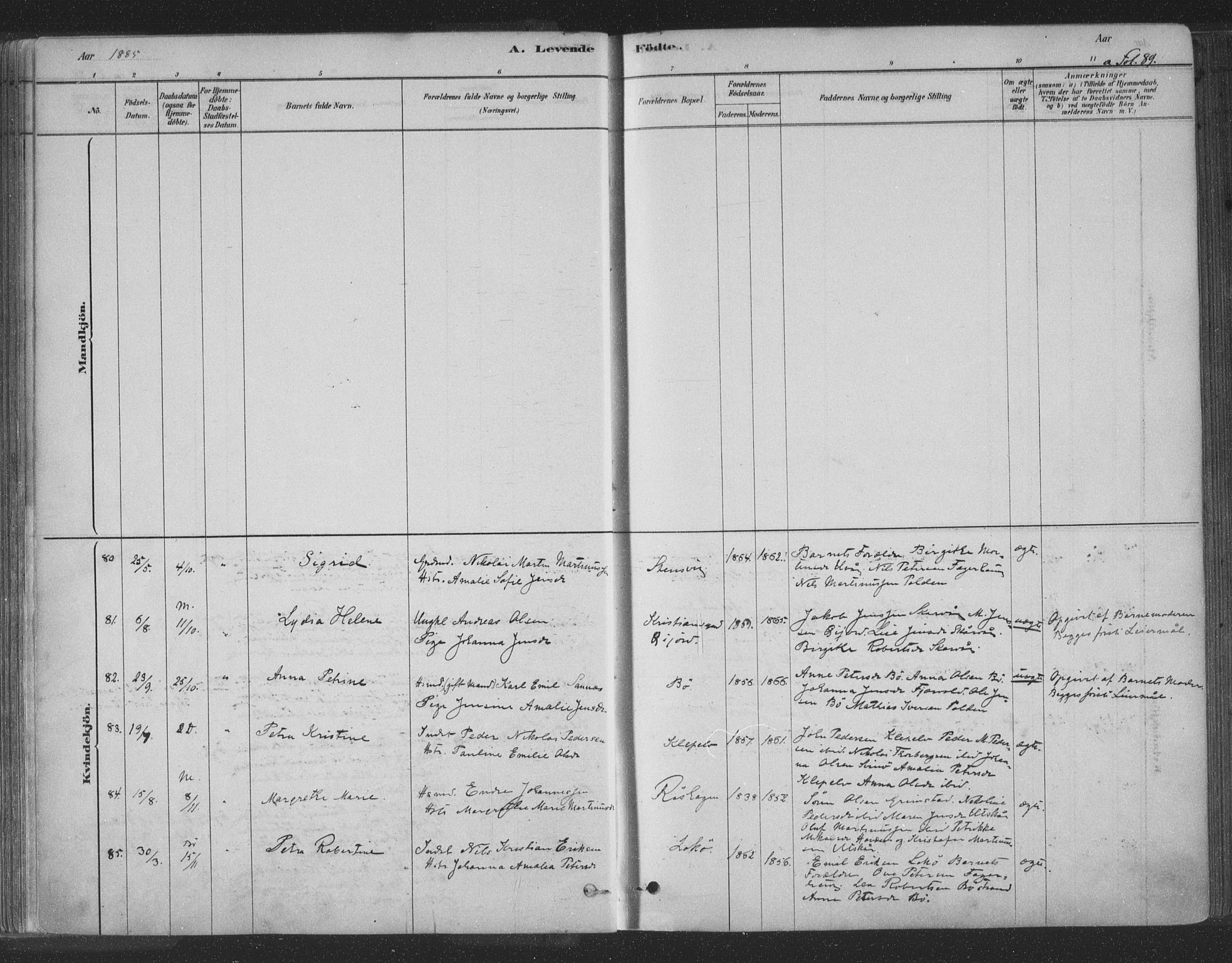 Ministerialprotokoller, klokkerbøker og fødselsregistre - Nordland, AV/SAT-A-1459/891/L1302: Parish register (official) no. 891A07, 1878-1895, p. 89