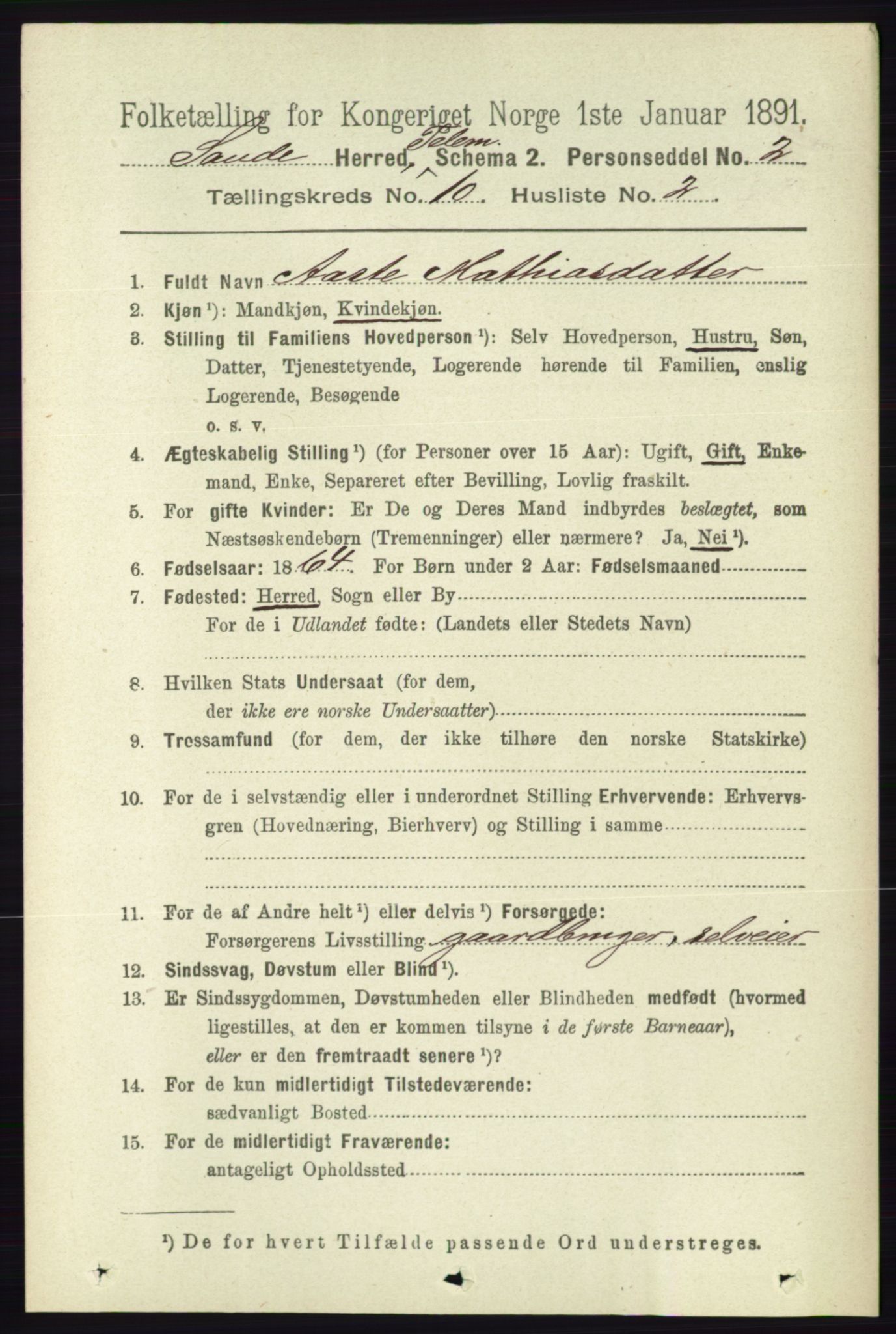 RA, 1891 census for 0822 Sauherad, 1891, p. 3009