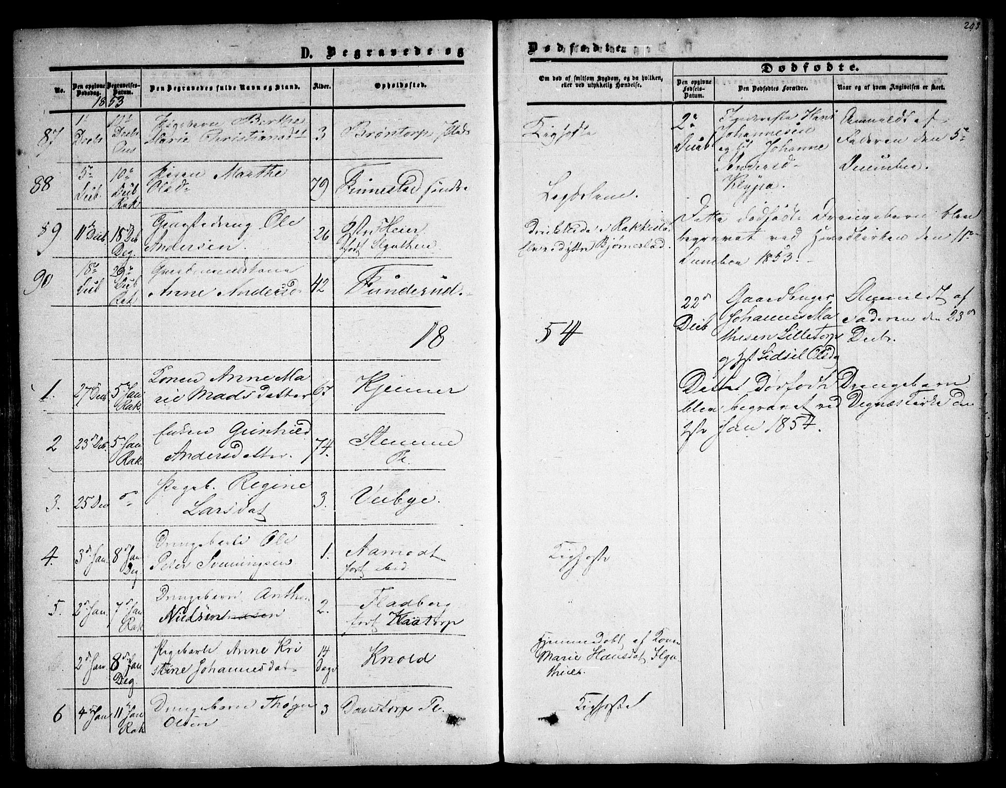 Rakkestad prestekontor Kirkebøker, AV/SAO-A-2008/F/Fa/L0009: Parish register (official) no. I 9, 1850-1856, p. 293