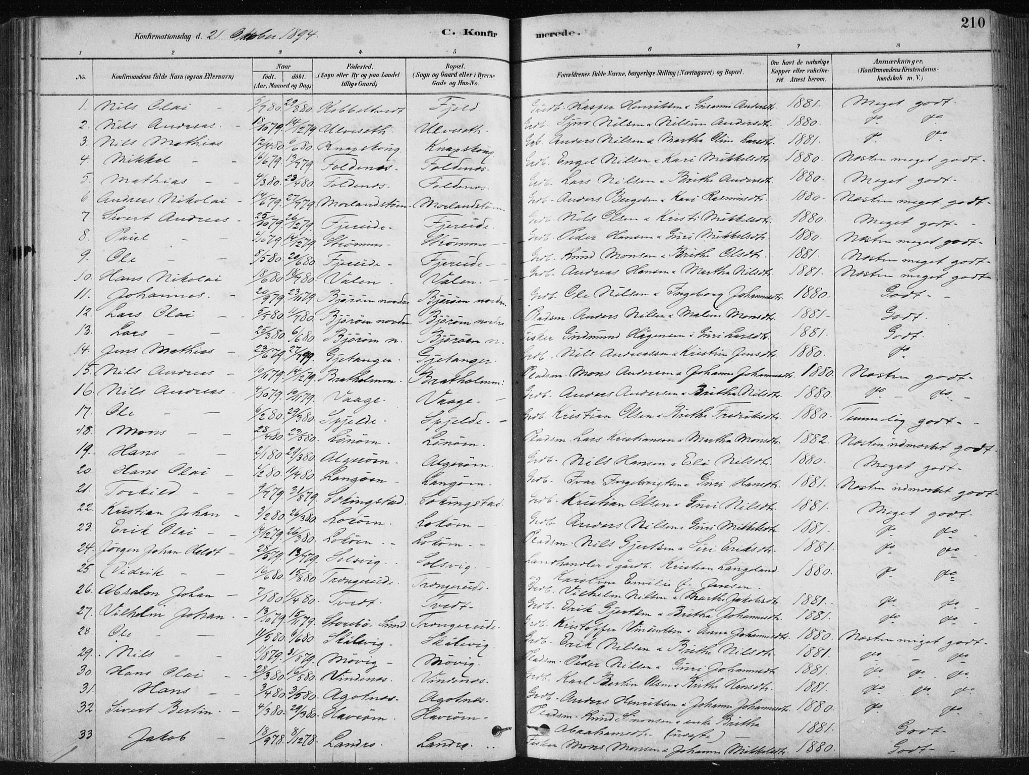 Fjell sokneprestembete, SAB/A-75301/H/Haa: Parish register (official) no. A  8, 1878-1898, p. 210