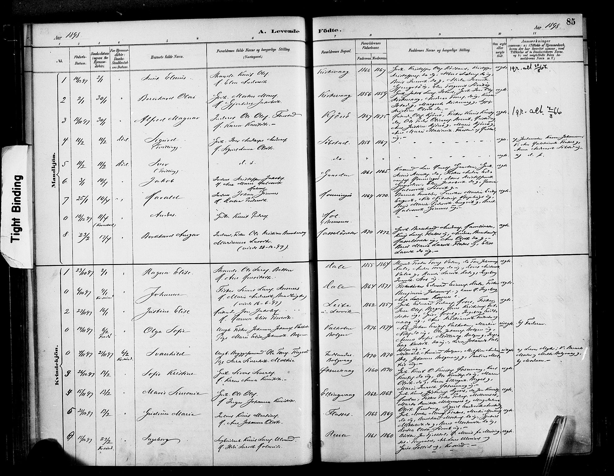 Ministerialprotokoller, klokkerbøker og fødselsregistre - Møre og Romsdal, SAT/A-1454/569/L0819: Parish register (official) no. 569A05, 1885-1899, p. 85