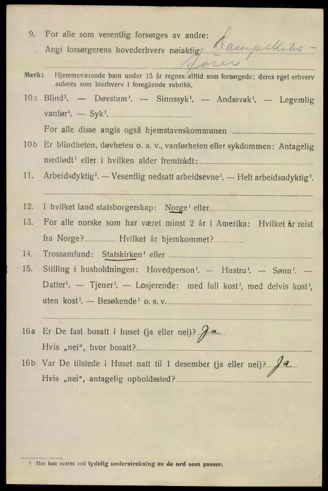 SAKO, 1920 census for Kragerø, 1920, p. 13026