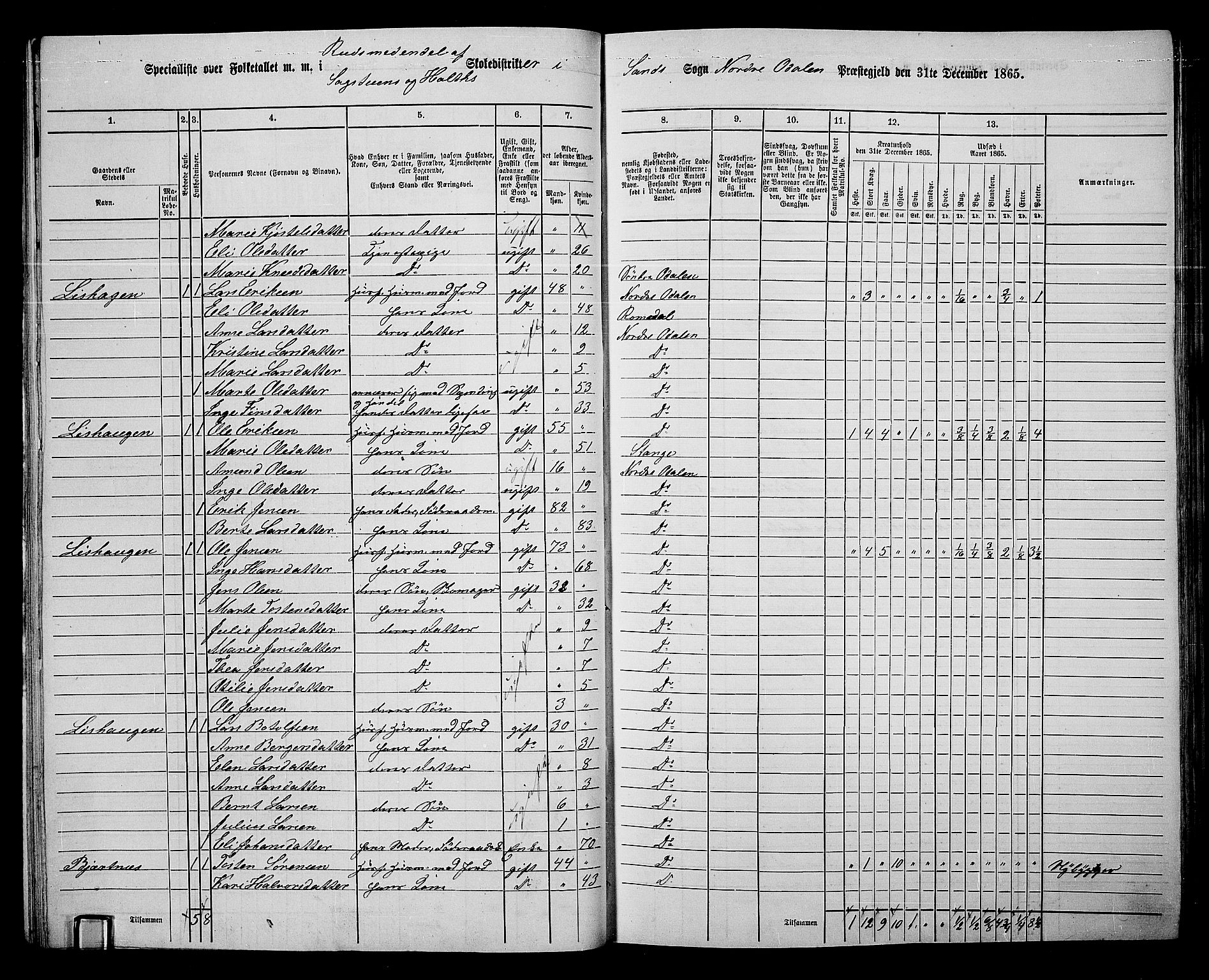RA, 1865 census for Nord-Odal, 1865, p. 47