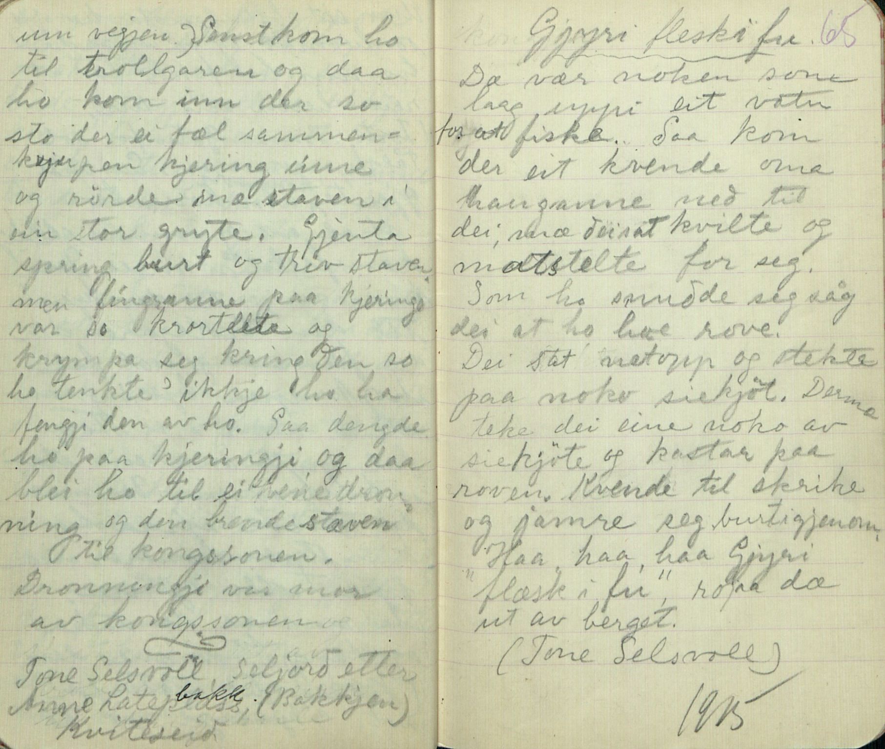 Rikard Berge, TEMU/TGM-A-1003/F/L0008/0030: 300-340 / 329 Oppskrifter av Svånaug A. Kasin, Seljord. Mest eventyr, 1915, p. 64-65