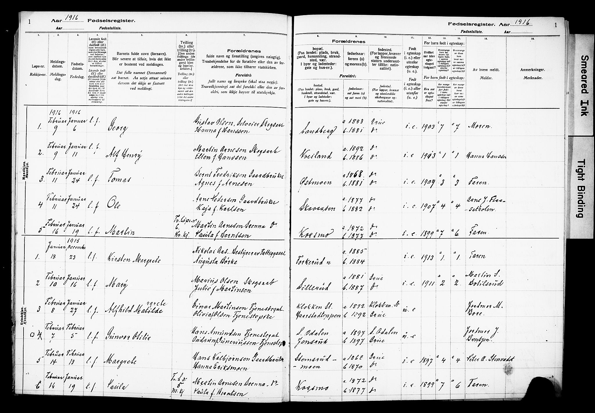 Grue prestekontor, AV/SAH-PREST-036/I/Id/Ida/L0001: Birth register no. I 1, 1916-1926, p. 1