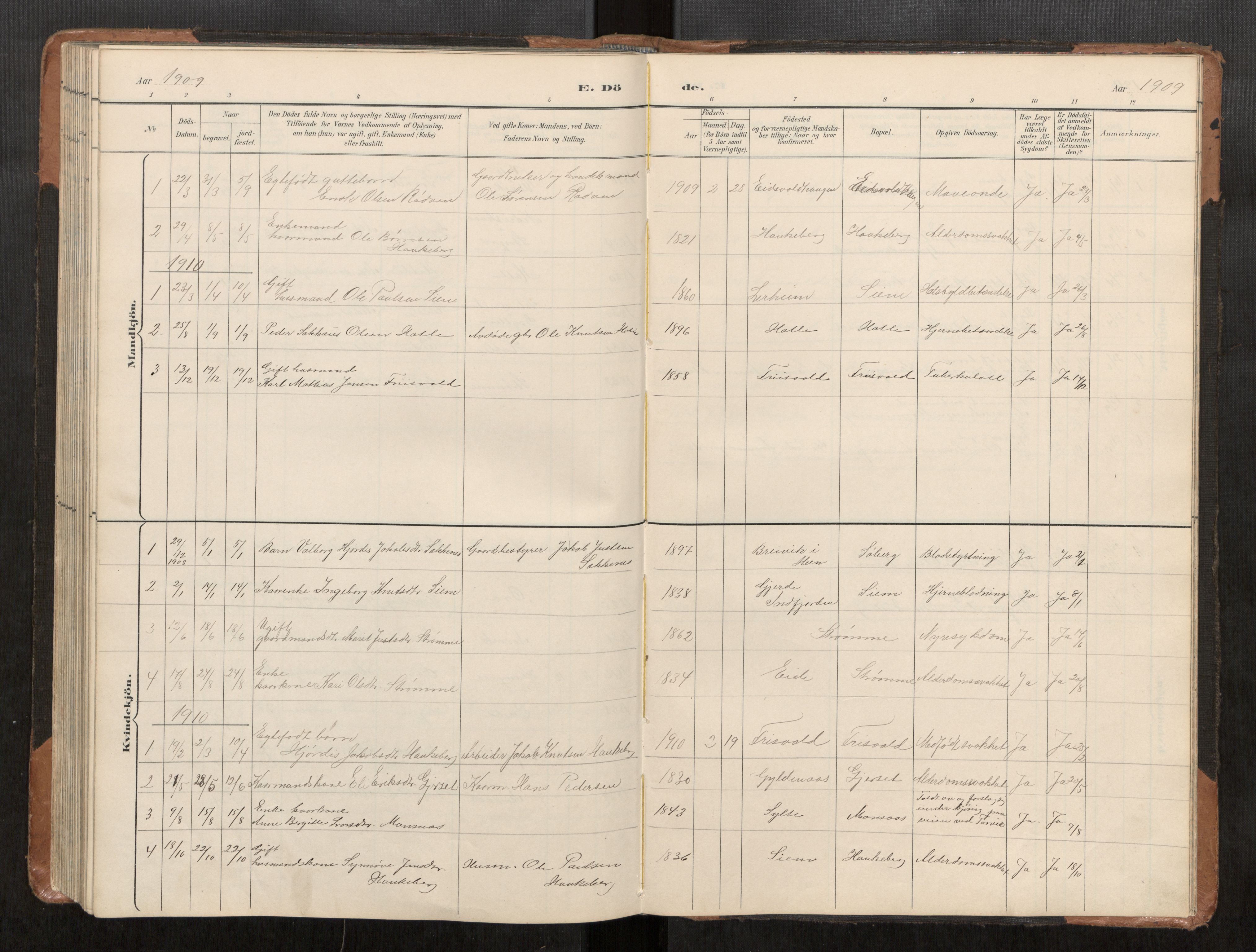 Ministerialprotokoller, klokkerbøker og fødselsregistre - Møre og Romsdal, AV/SAT-A-1454/542/L0561: Parish register (copy) no. 542C03, 1893-1931