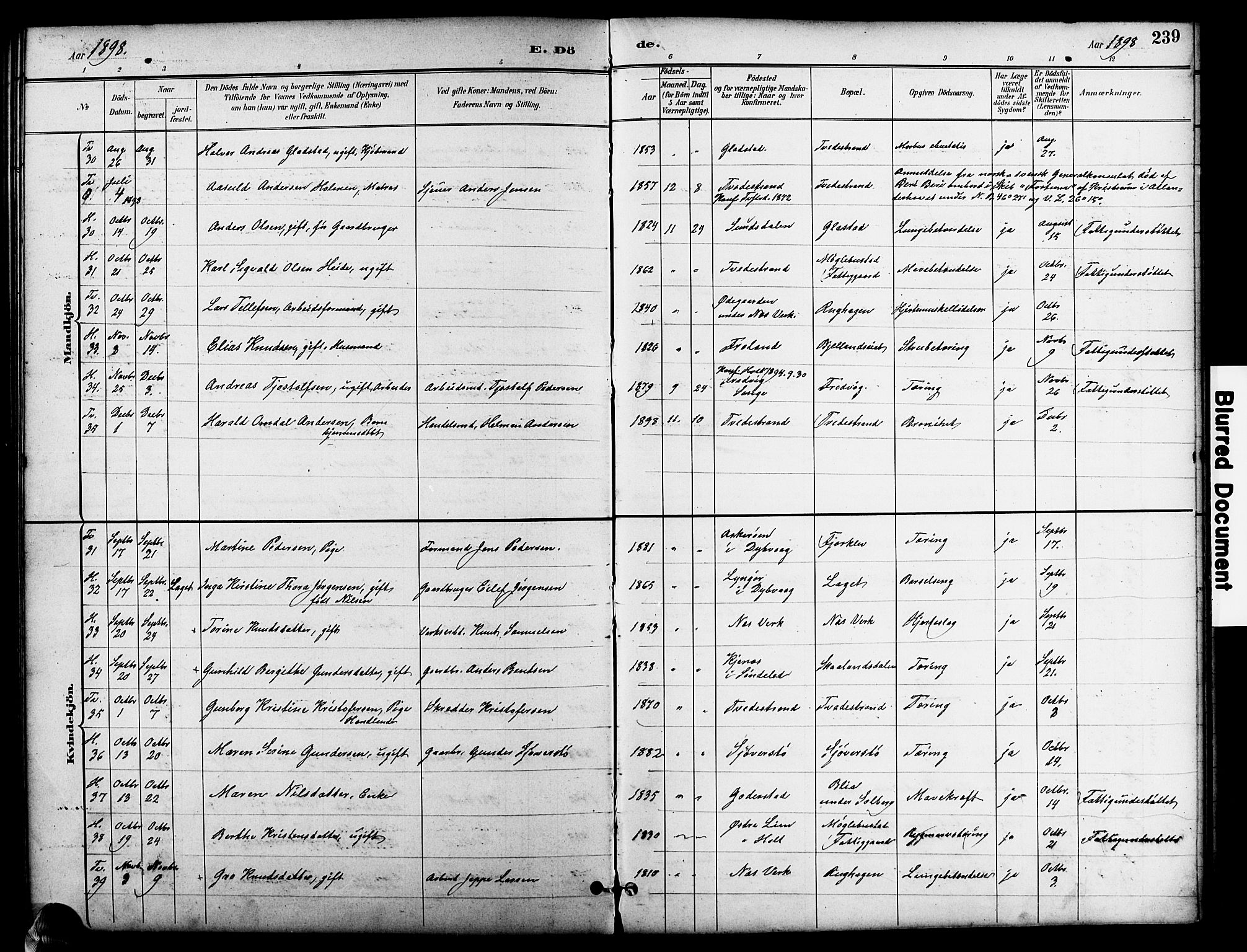 Holt sokneprestkontor, SAK/1111-0021/F/Fb/L0011: Parish register (copy) no. B 11, 1897-1921, p. 239