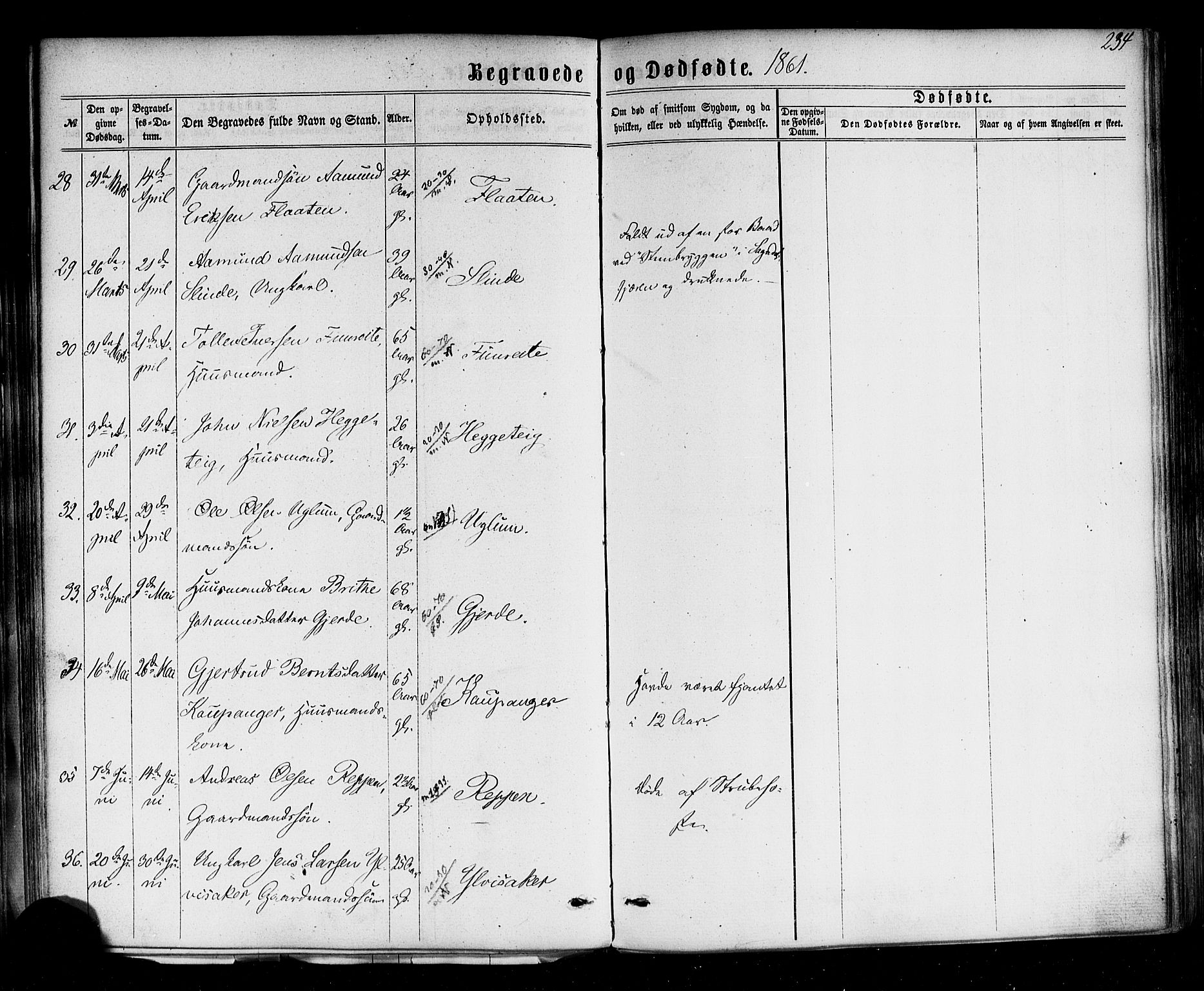 Sogndal sokneprestembete, AV/SAB-A-81301/H/Haa/Haaa/L0013: Parish register (official) no. A 13, 1859-1877, p. 234