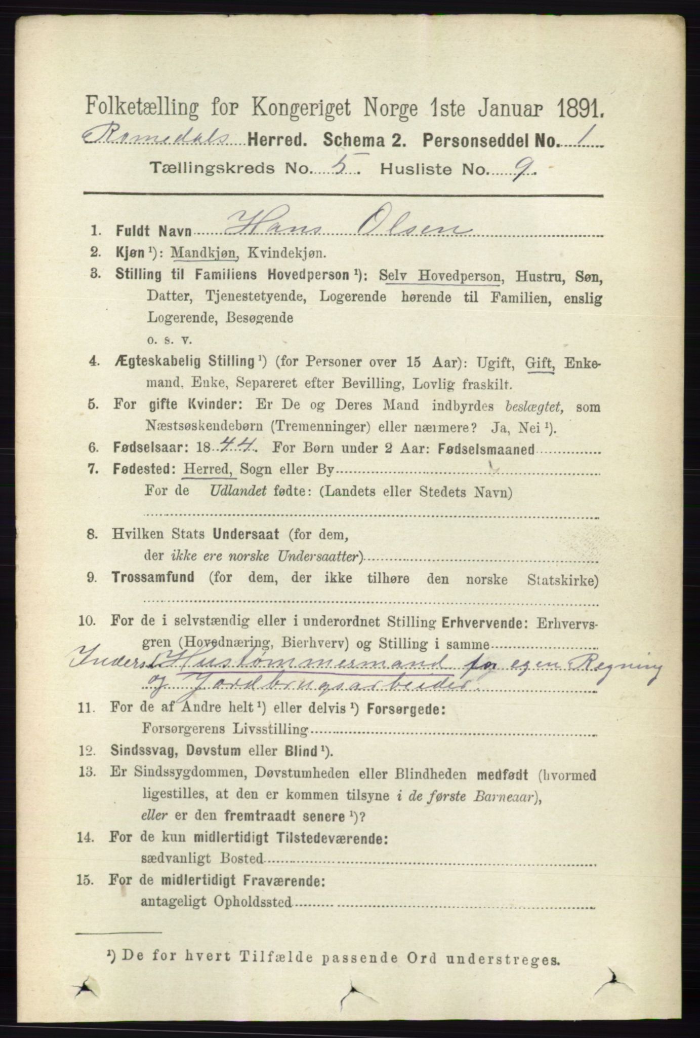 RA, 1891 census for 0416 Romedal, 1891, p. 2507