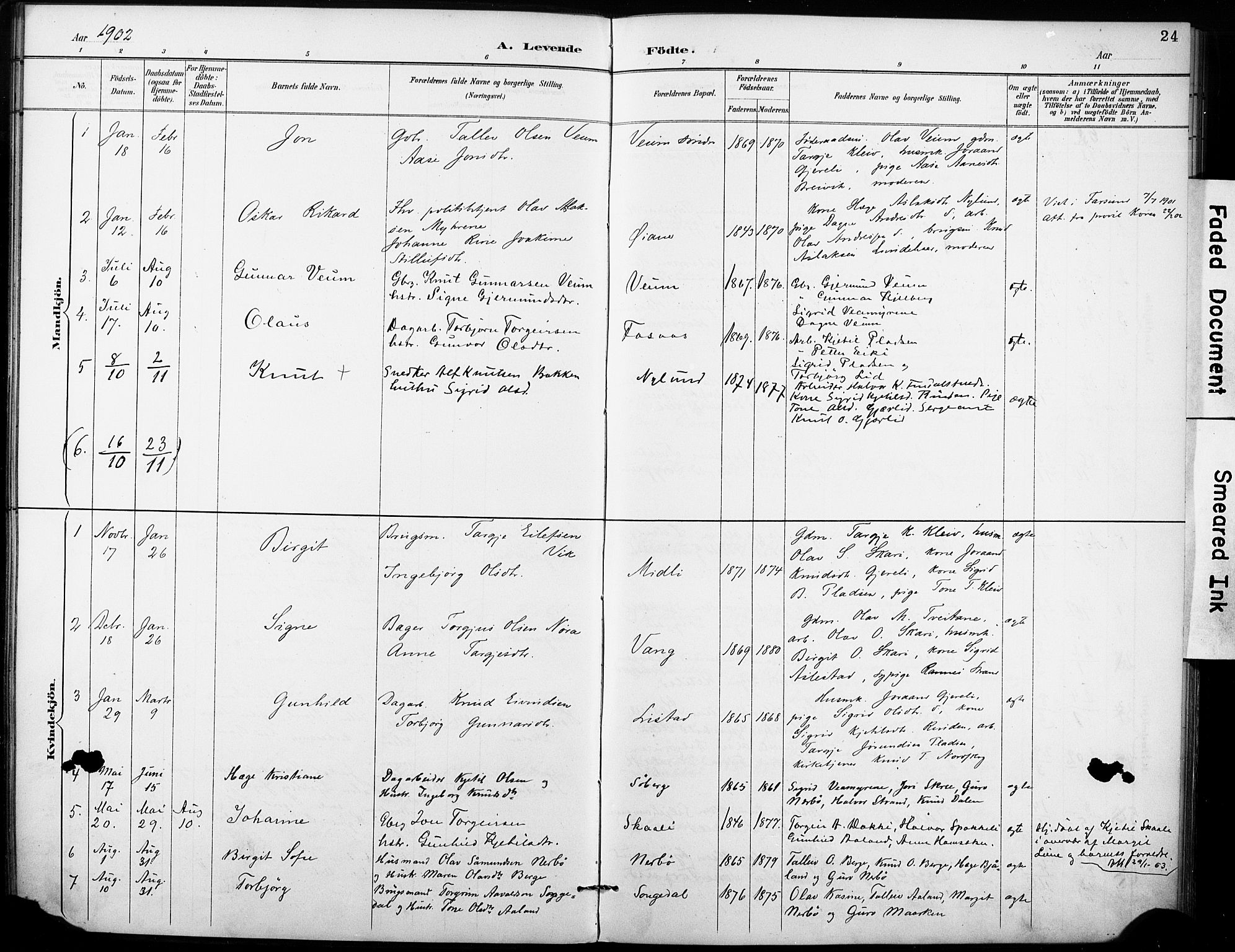 Fyresdal kirkebøker, SAKO/A-263/F/Fb/L0003: Parish register (official) no. II 3, 1887-1903, p. 24