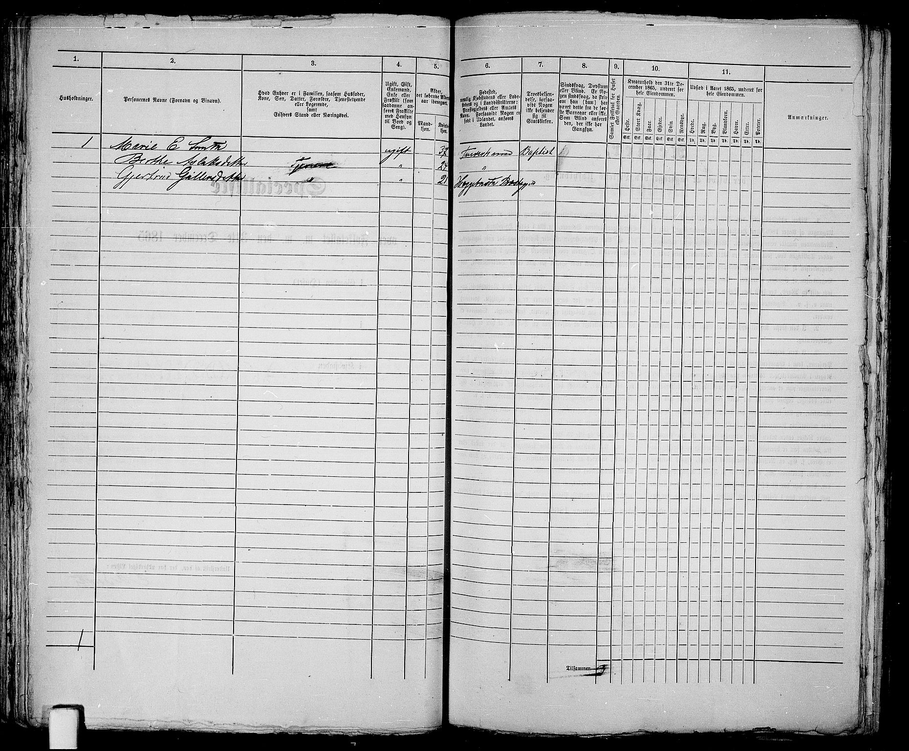 RA, 1865 census for Holt/Tvedestrand, 1865, p. 86