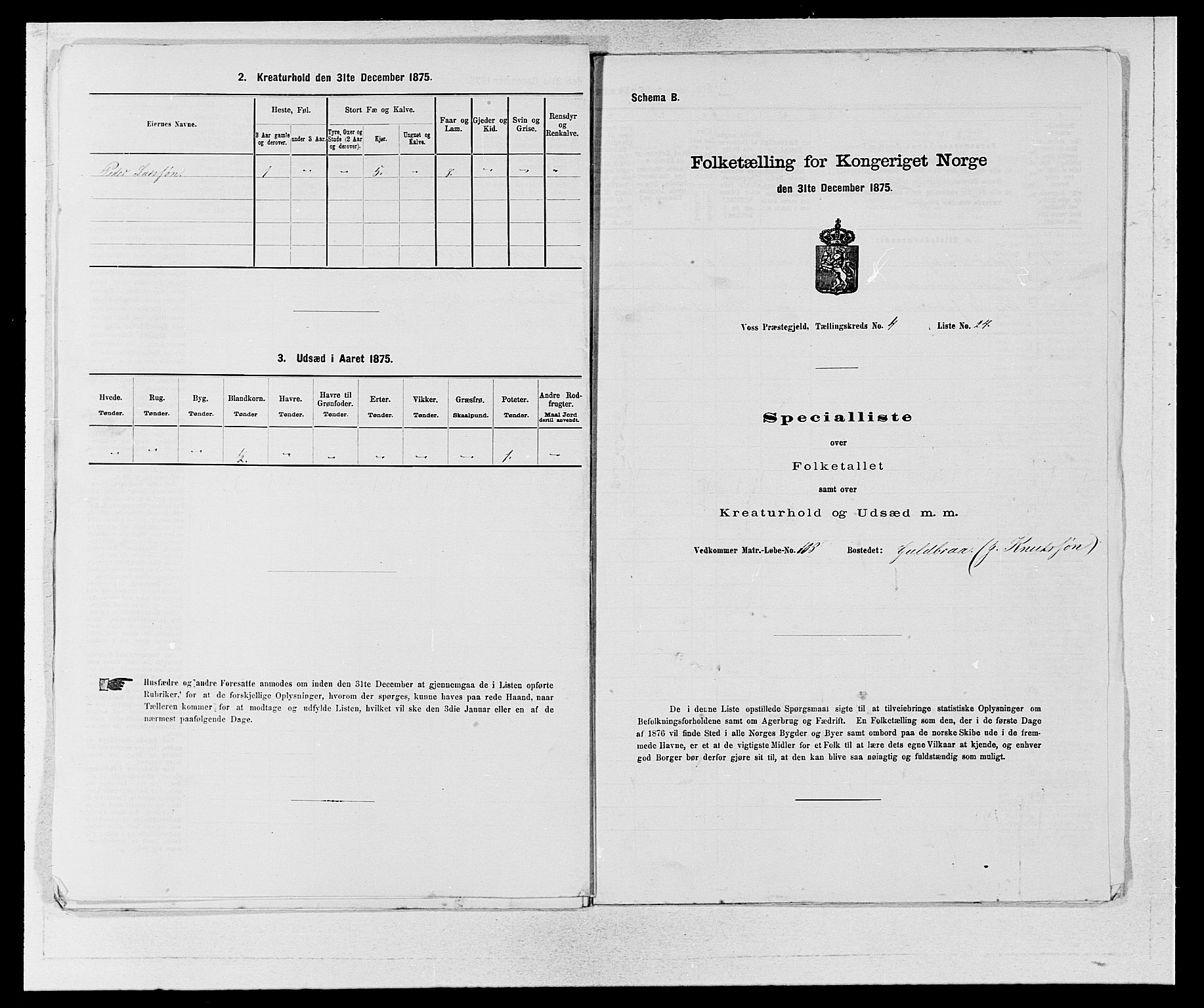 SAB, 1875 census for 1235P Voss, 1875, p. 2046