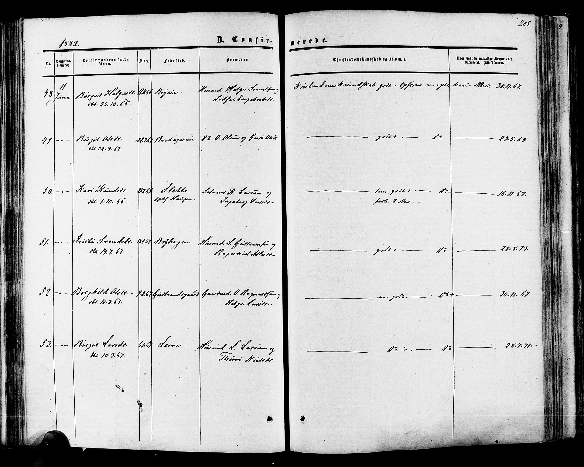 Hol kirkebøker, AV/SAKO-A-227/F/Fa/L0002: Parish register (official) no. I 2, 1870-1886, p. 205