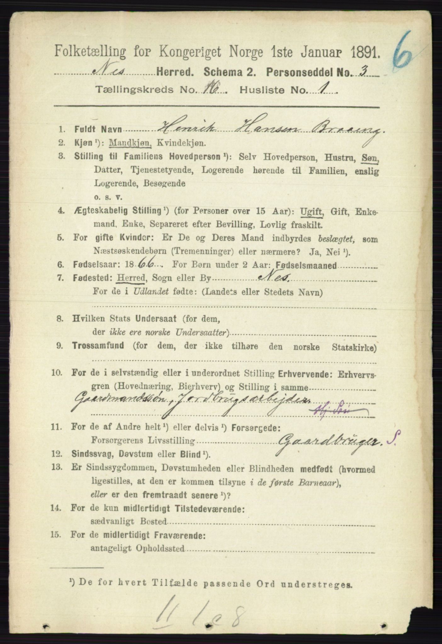 RA, 1891 census for 0236 Nes, 1891, p. 9551