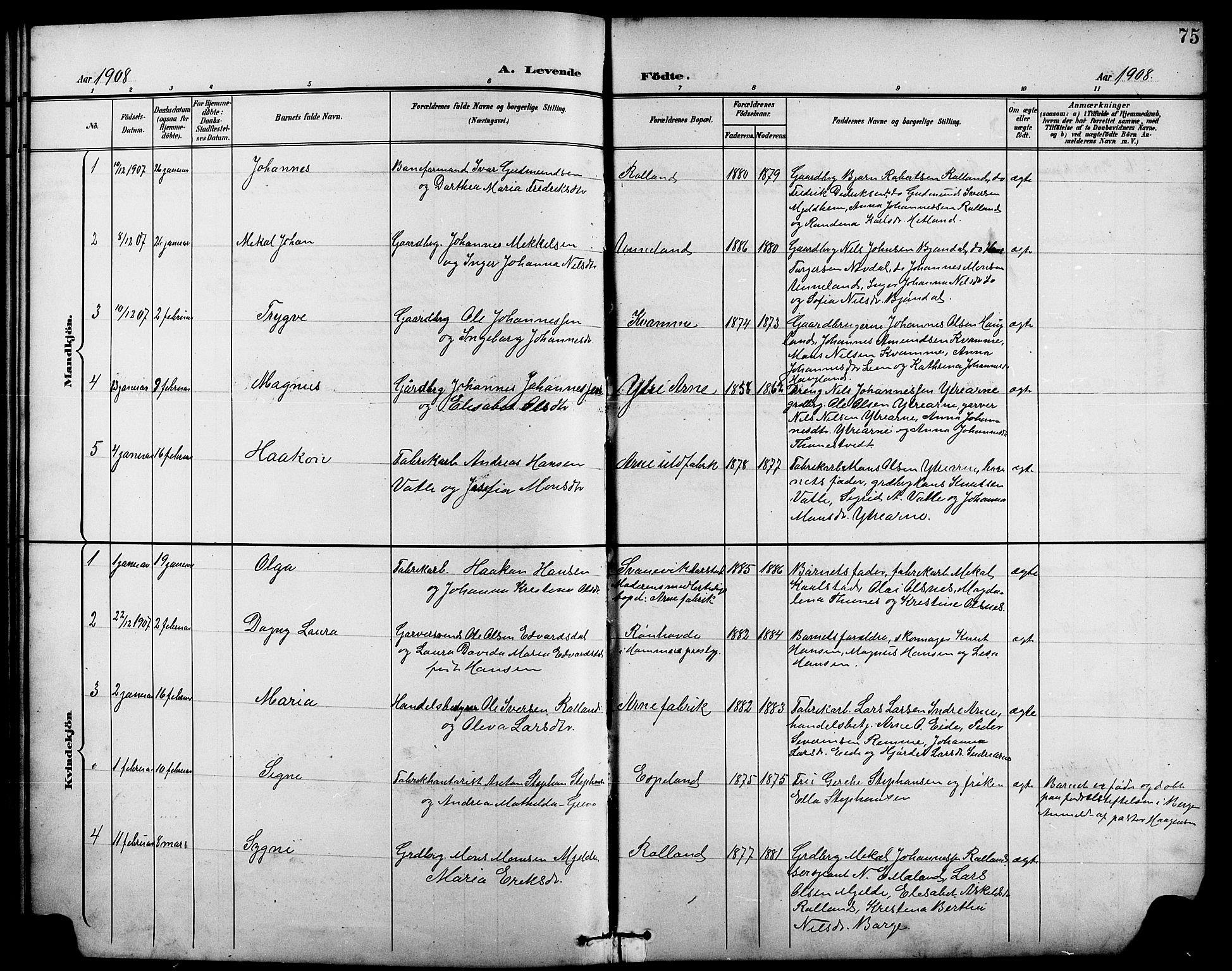 Arna Sokneprestembete, SAB/A-74001/H/Ha/Hab: Parish register (copy) no. A 4, 1898-1910, p. 75