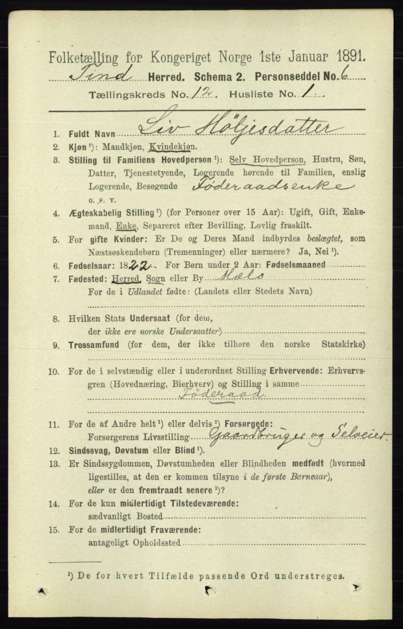 RA, 1891 census for 0826 Tinn, 1891, p. 2323